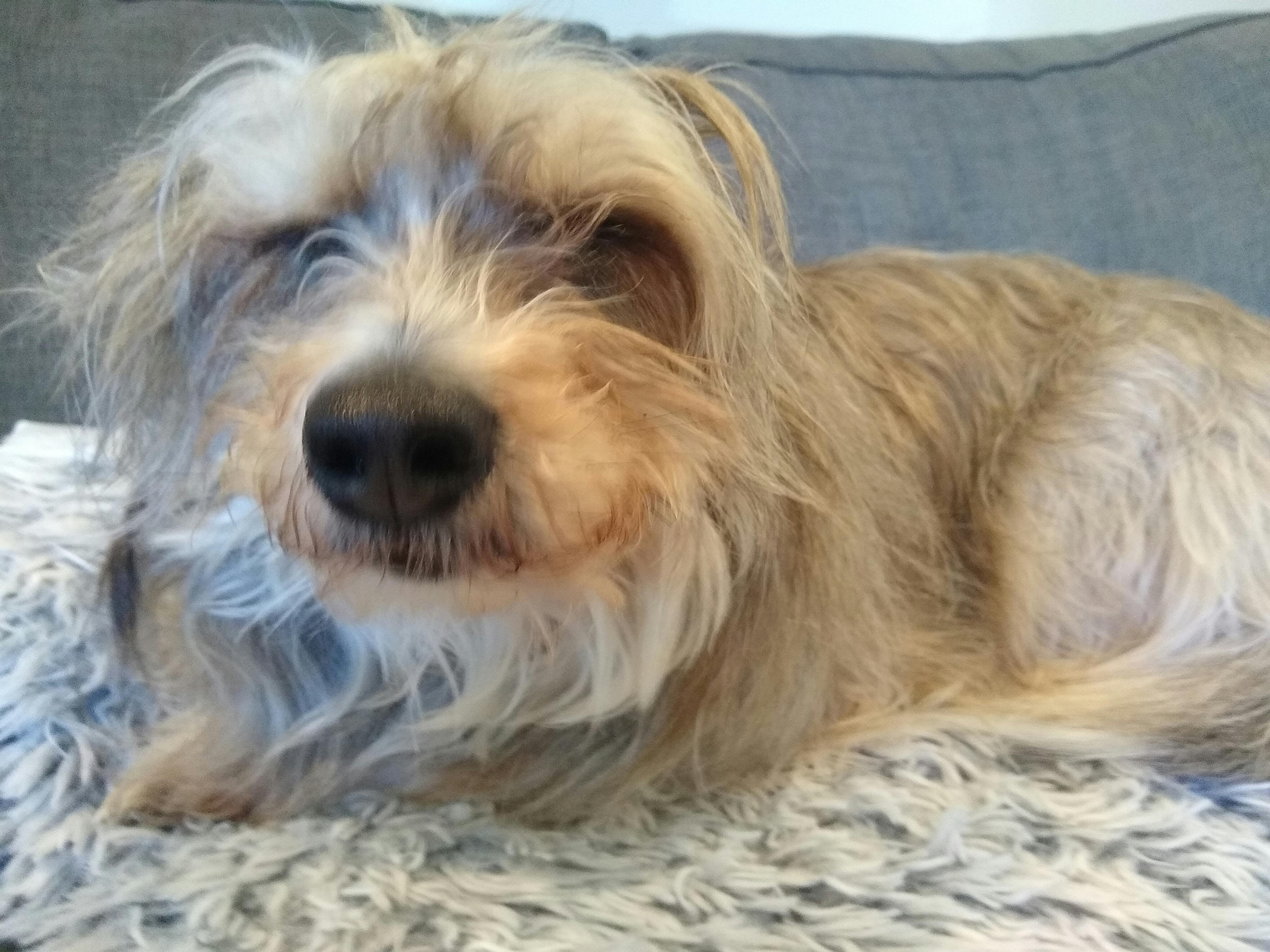 user avatar image for Myla Bauersfeld