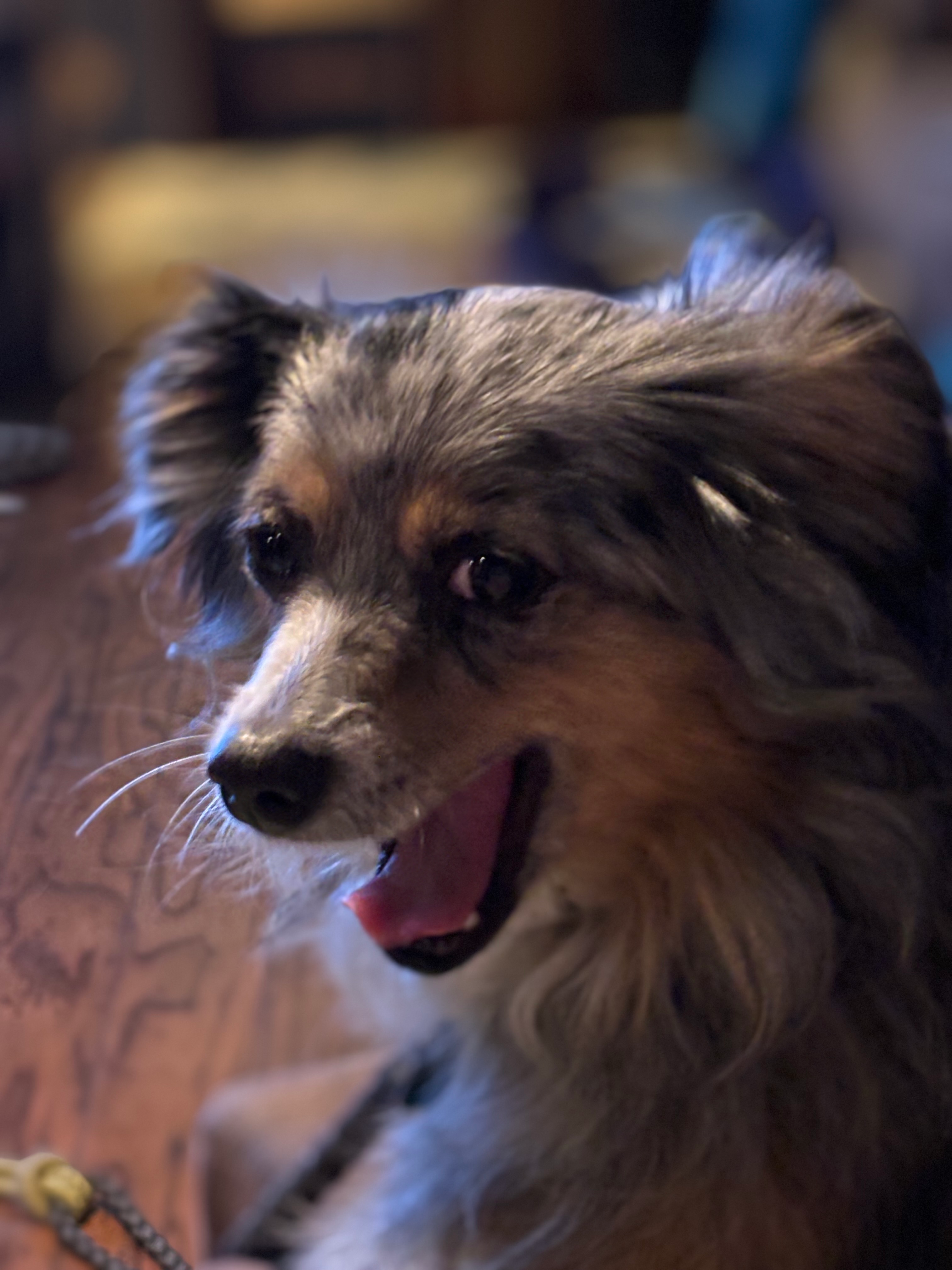 user avatar image for McShellzorz