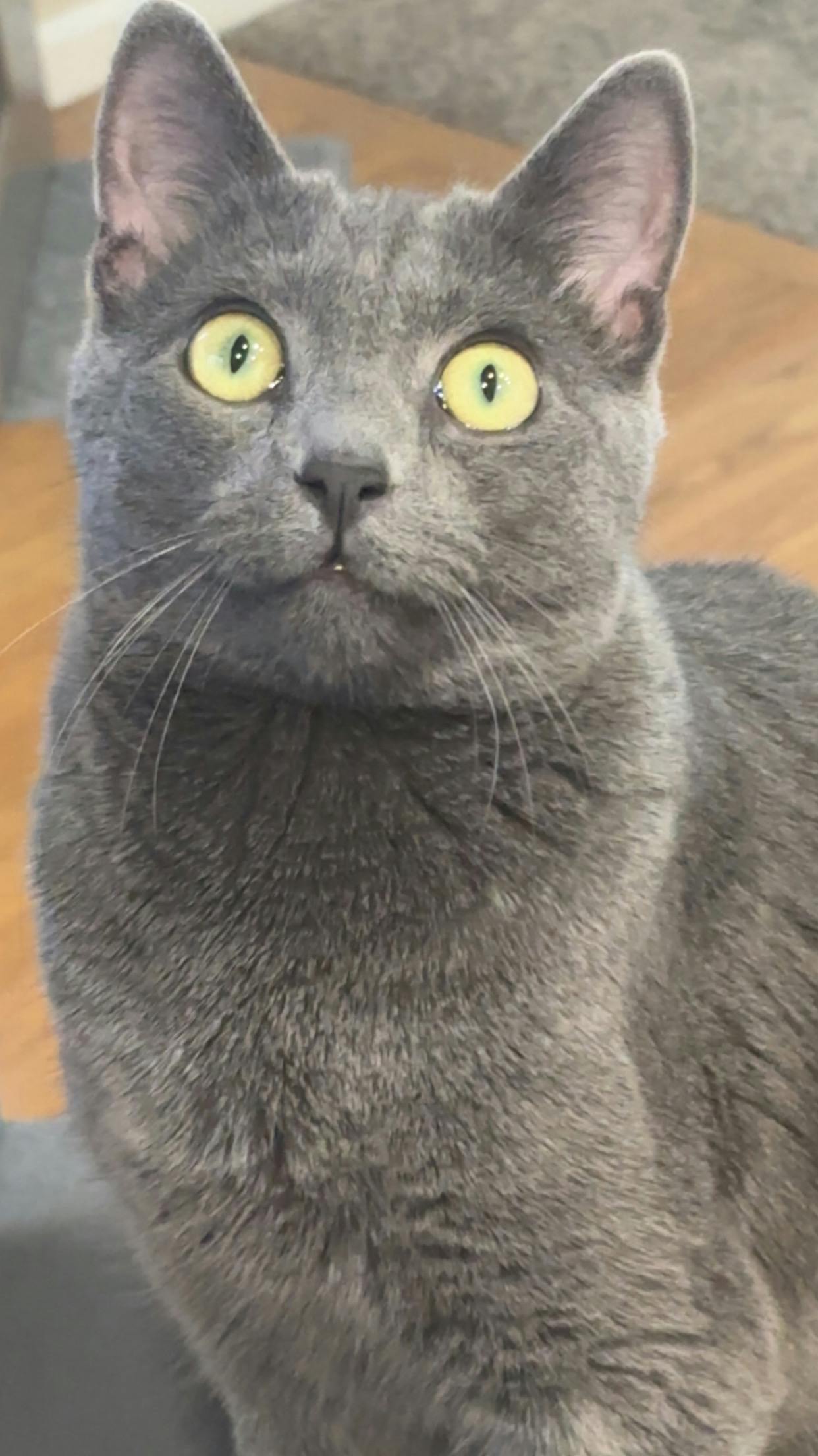 user avatar image for Sarah O'Dell