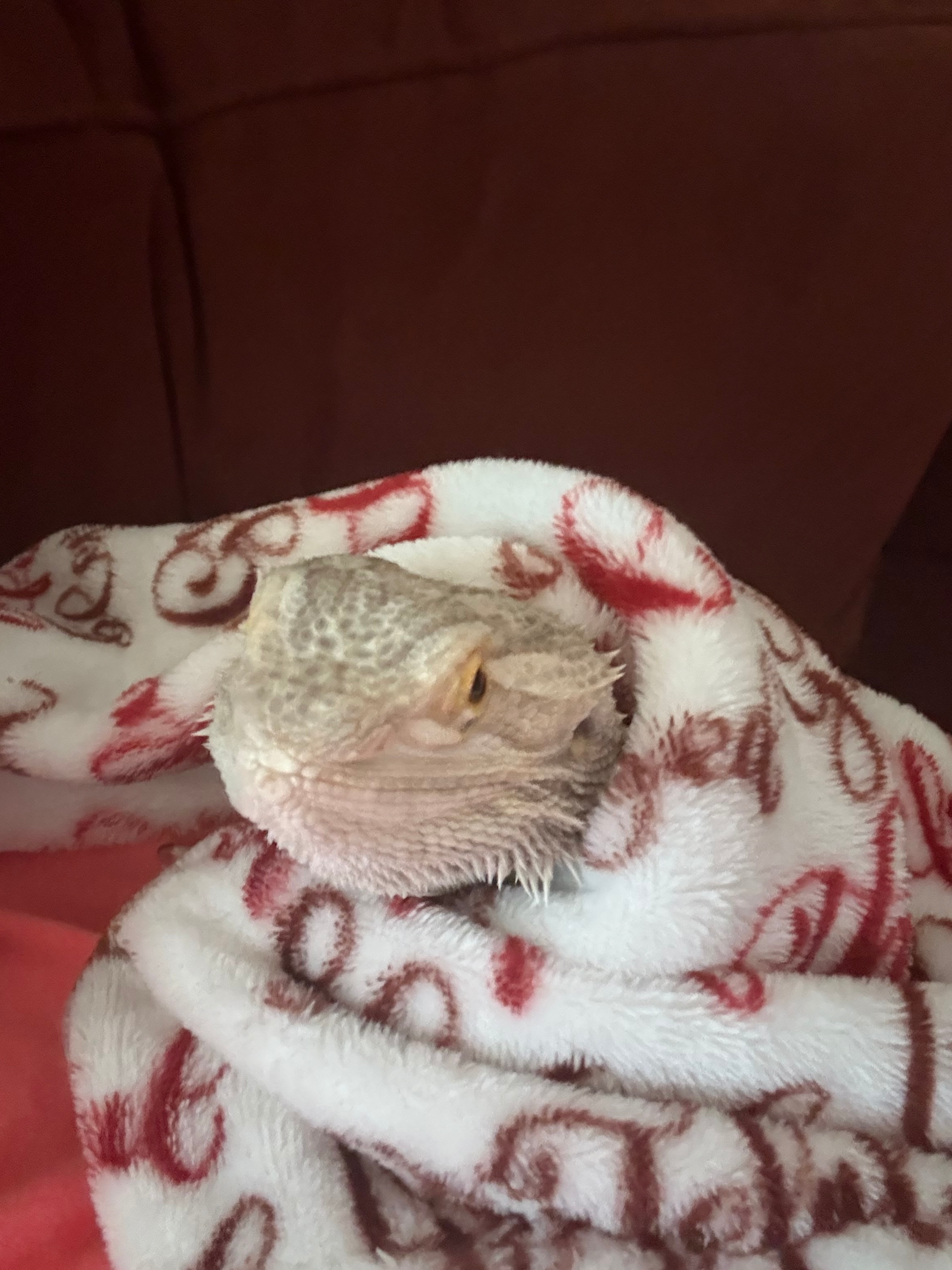 user avatar image for Kiri