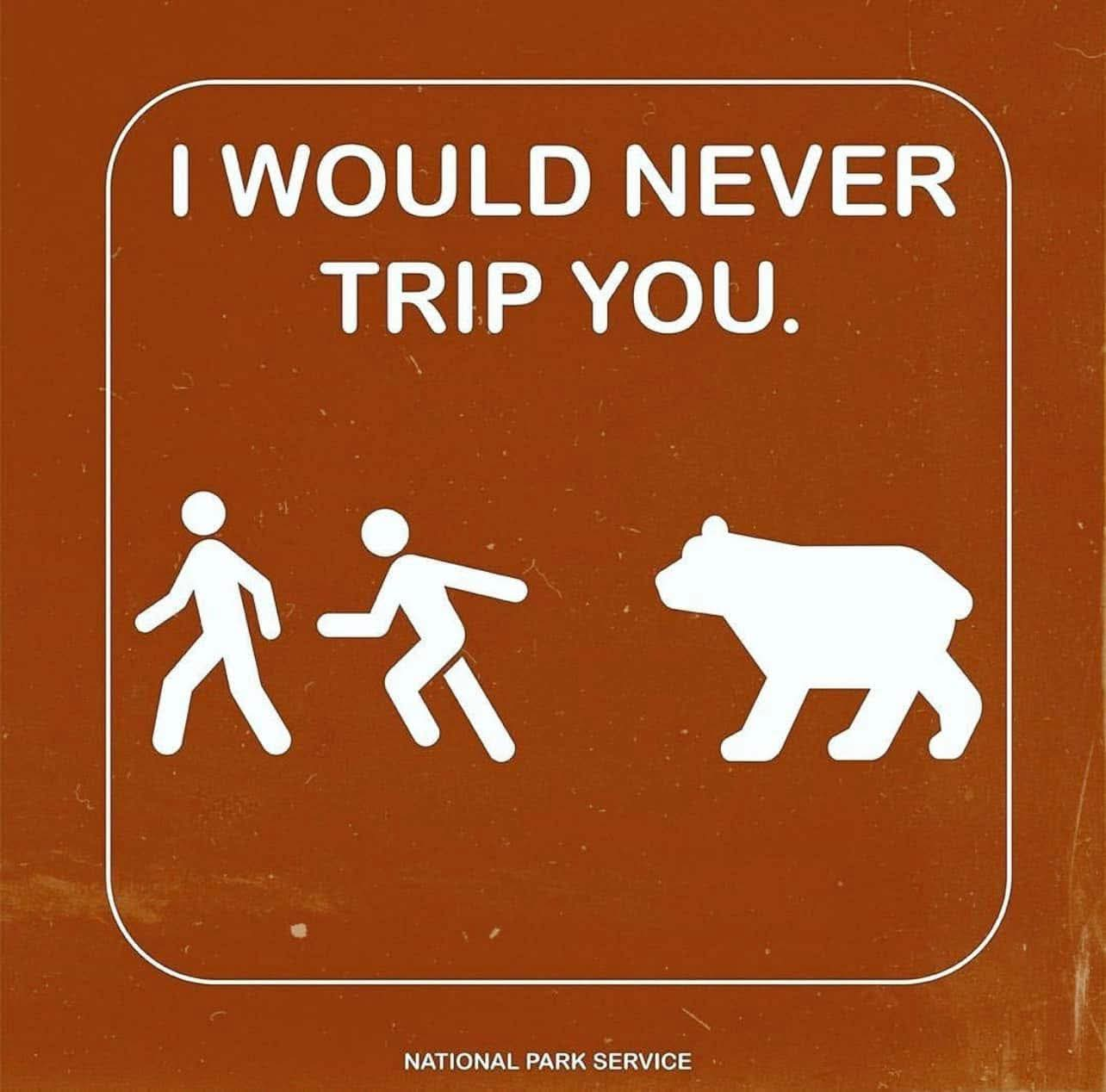 user avatar image for Anthony 