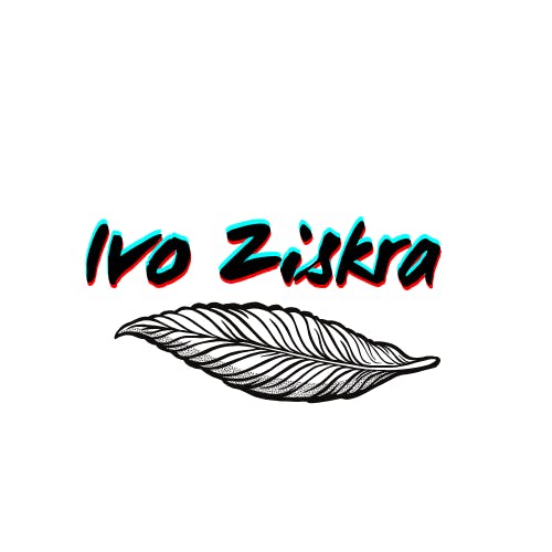 user avatar image for Ivo Ziskra 