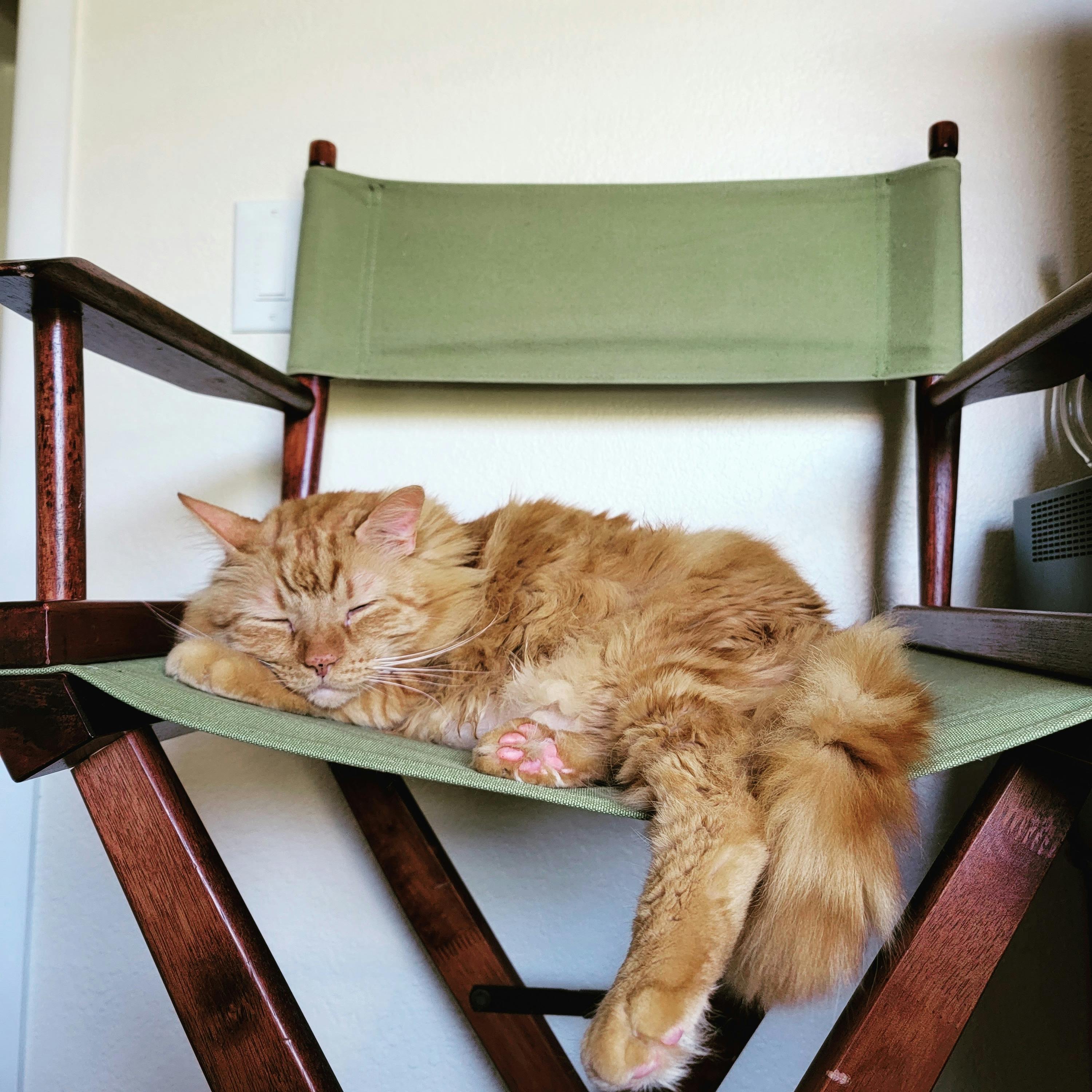 user avatar image for Jessica