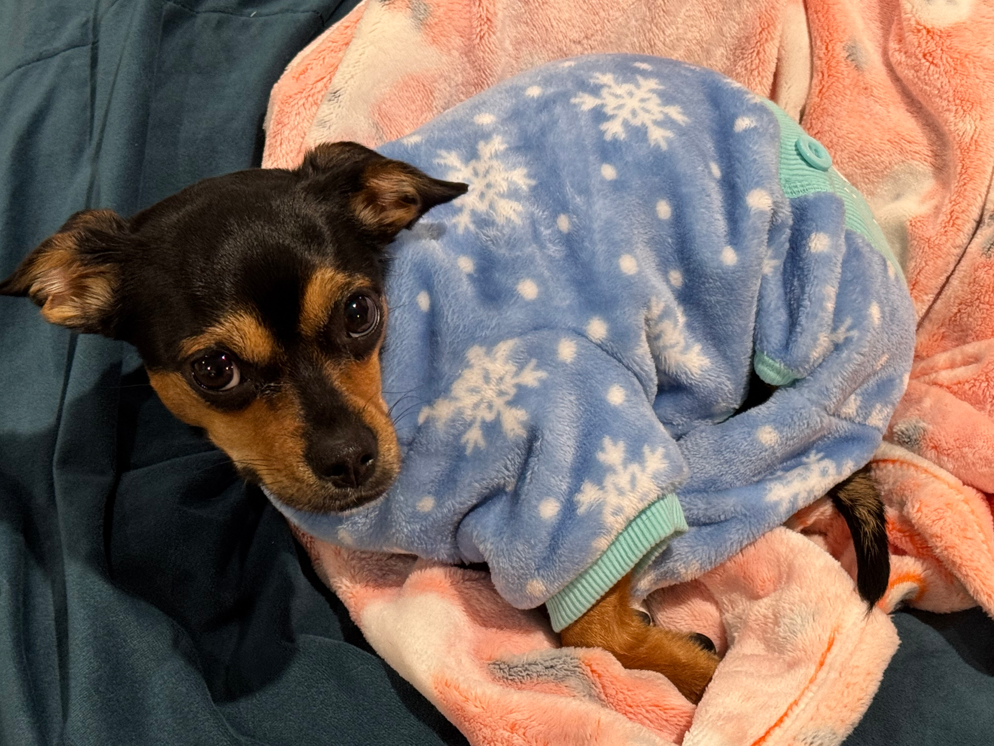 user avatar image for Byrdie