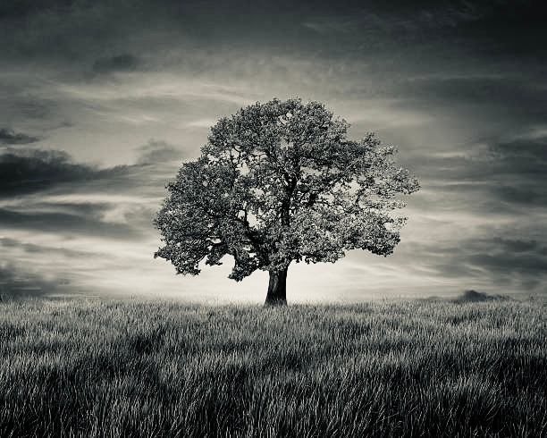 user avatar image for Michael Cabral