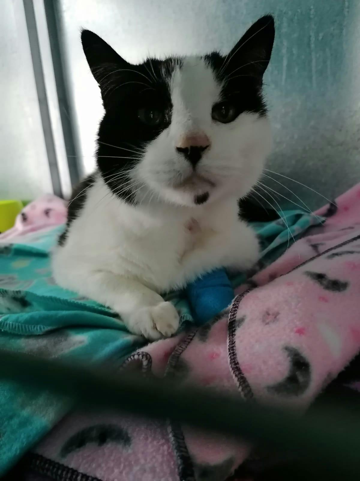 user avatar image for LodeWick