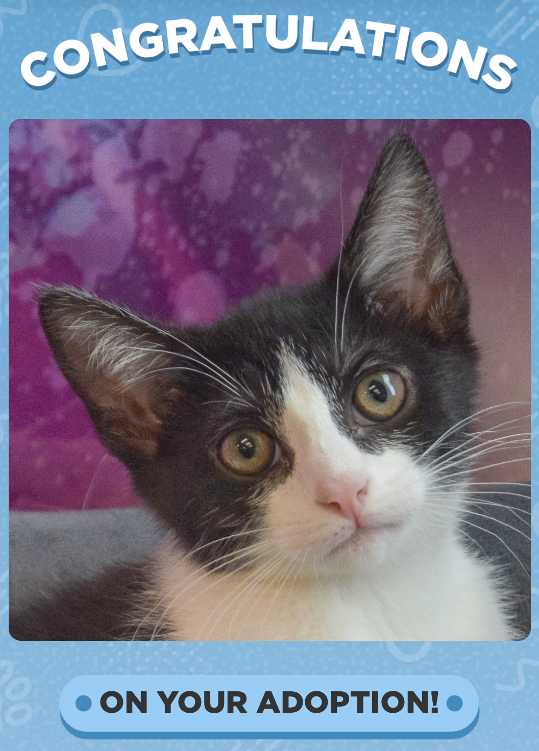 user avatar image for Tim McCauley