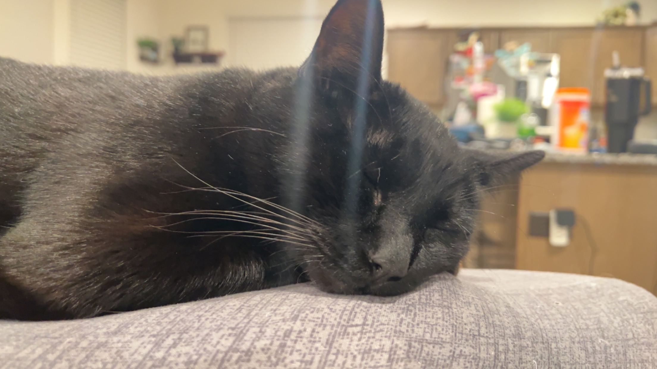 user avatar image for Graden Cahoon