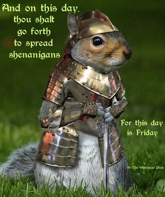 user avatar image for Baltimoresqrrl 