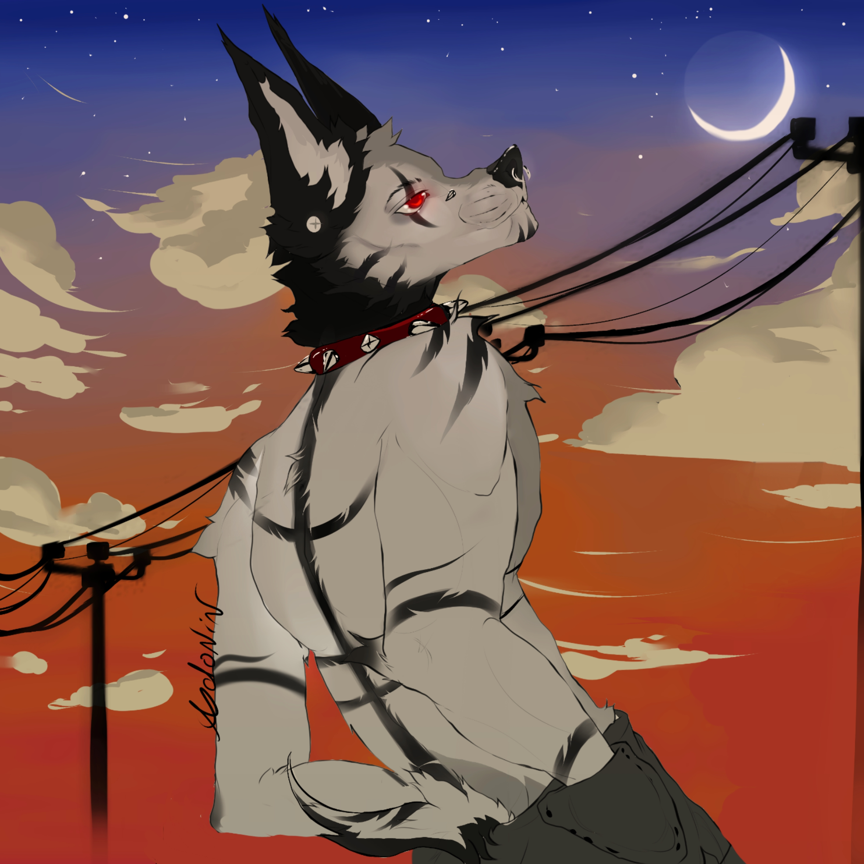 user avatar image for Anon