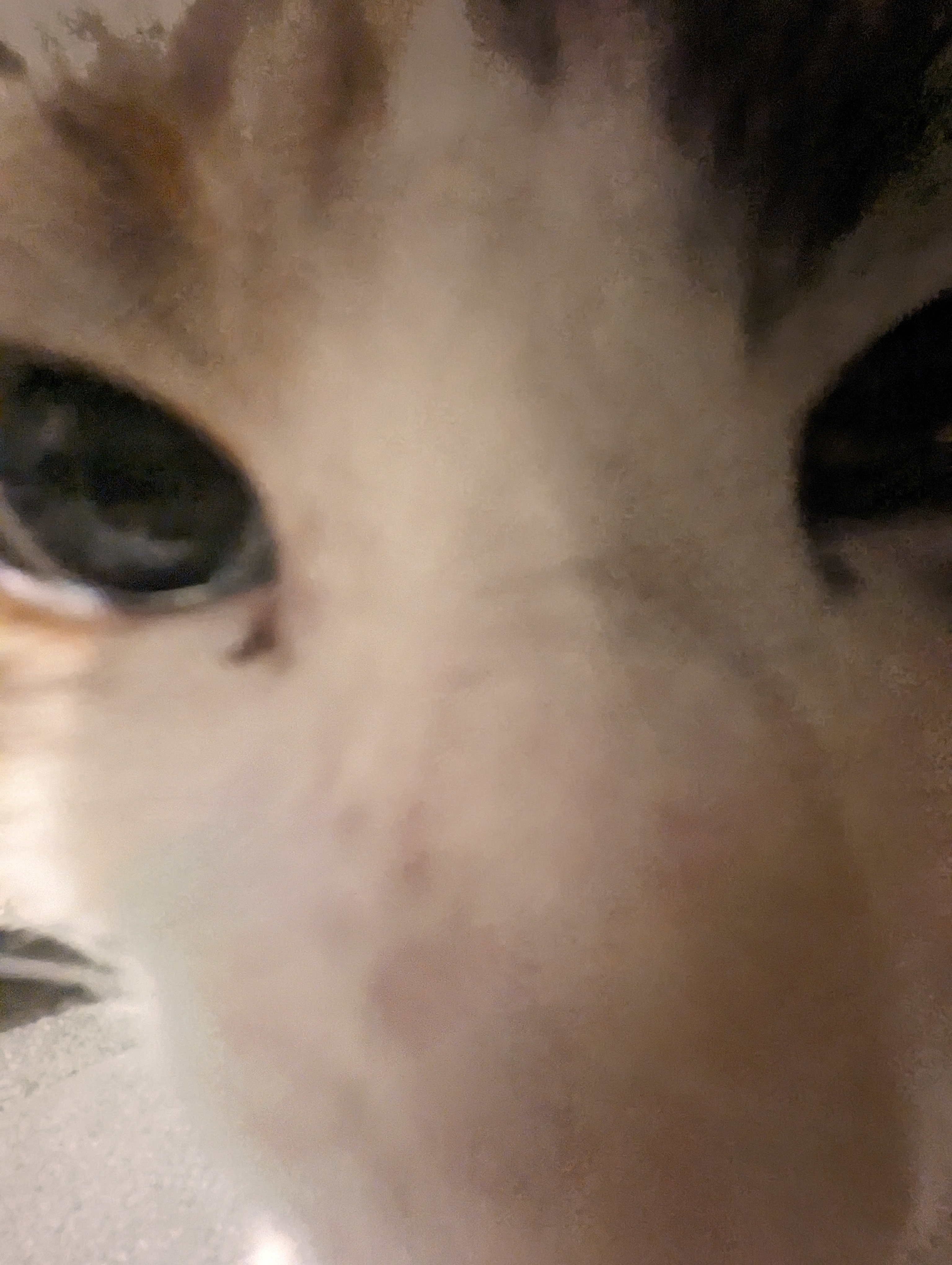 user avatar image for Jeremy