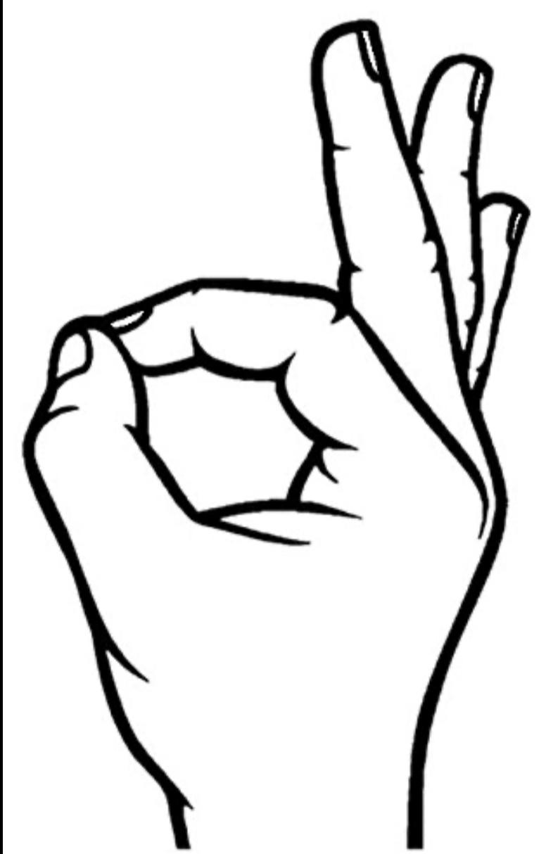 user avatar image for M Metz