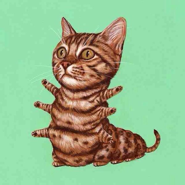 user avatar image for Maclaglen