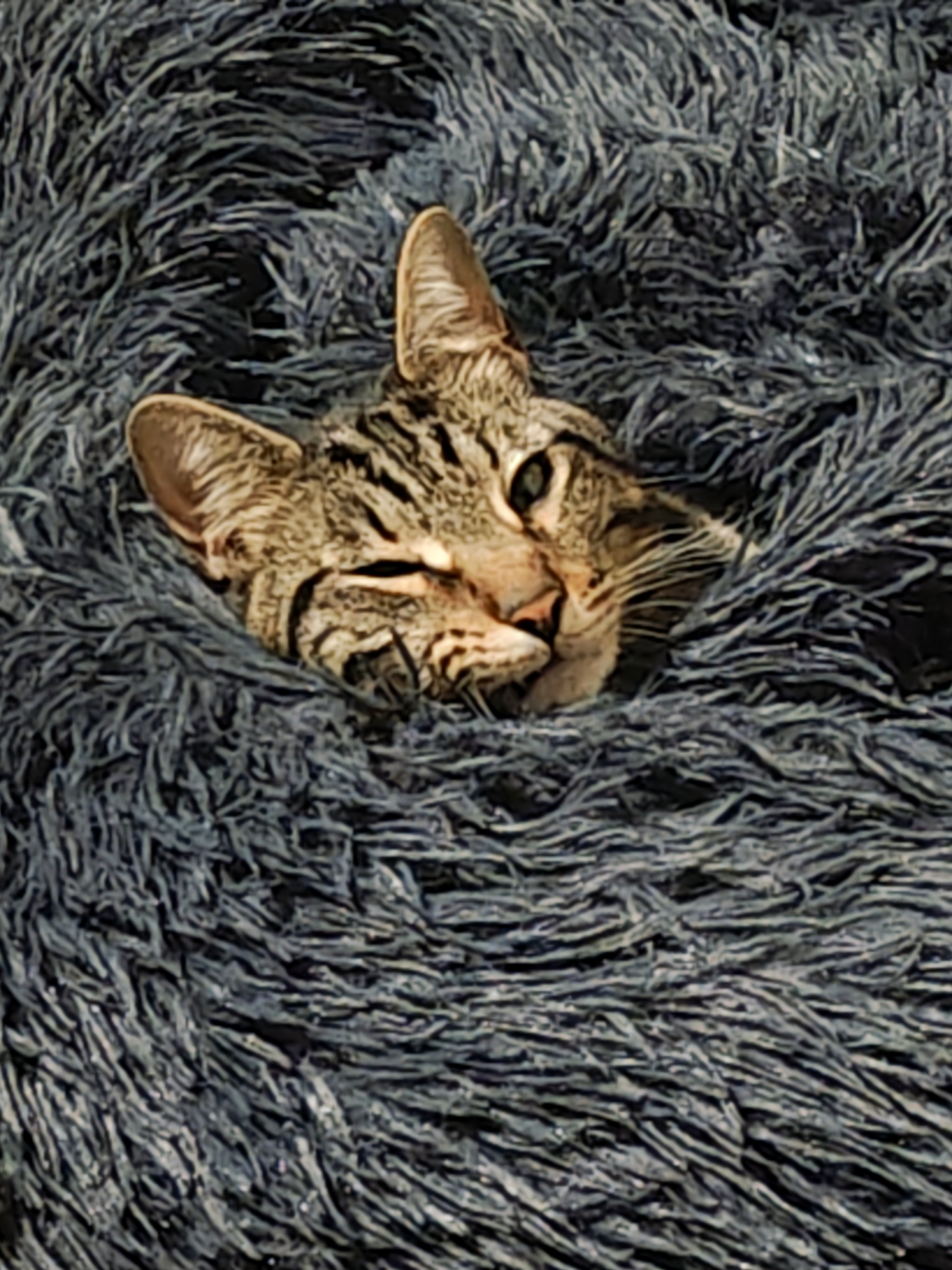 user avatar image for Flower 