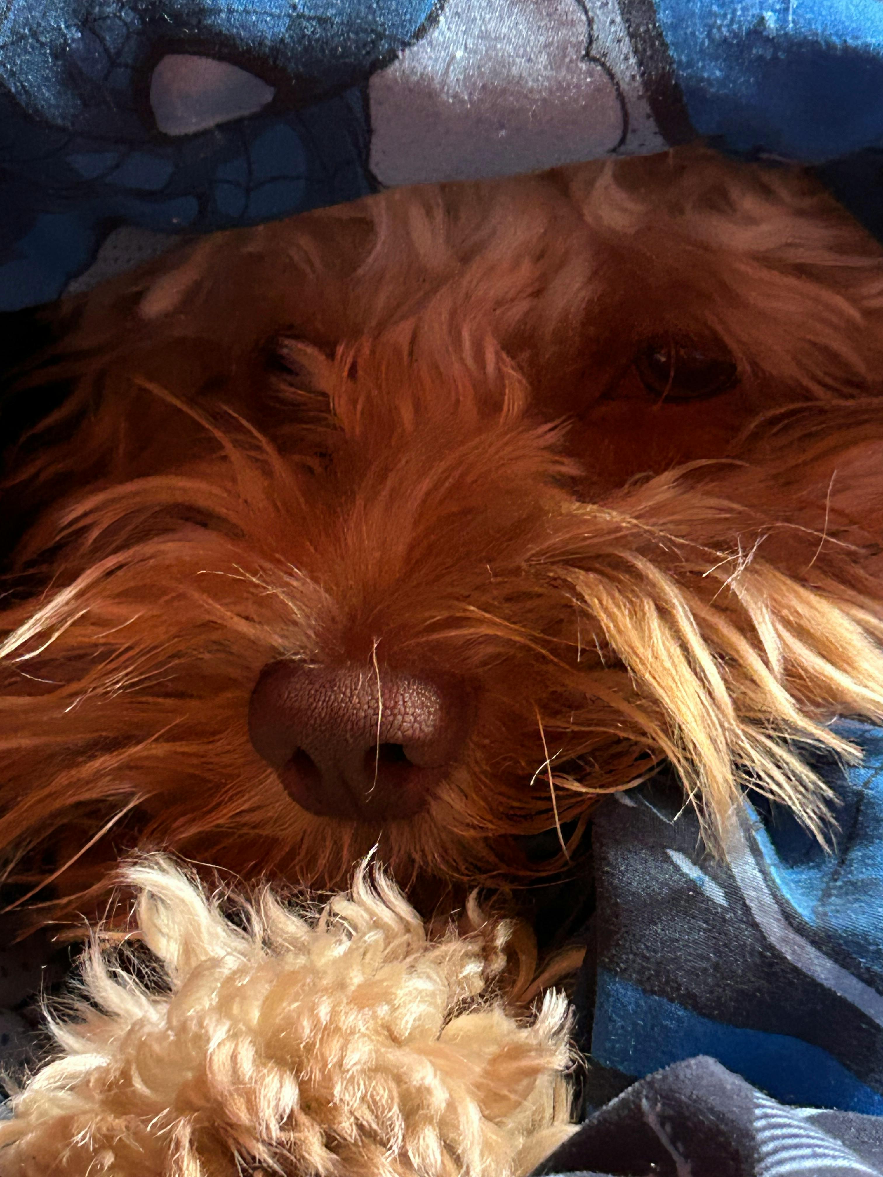 user avatar image for Mylin