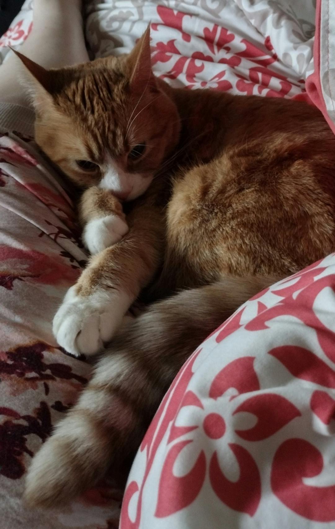 user avatar image for Chloe