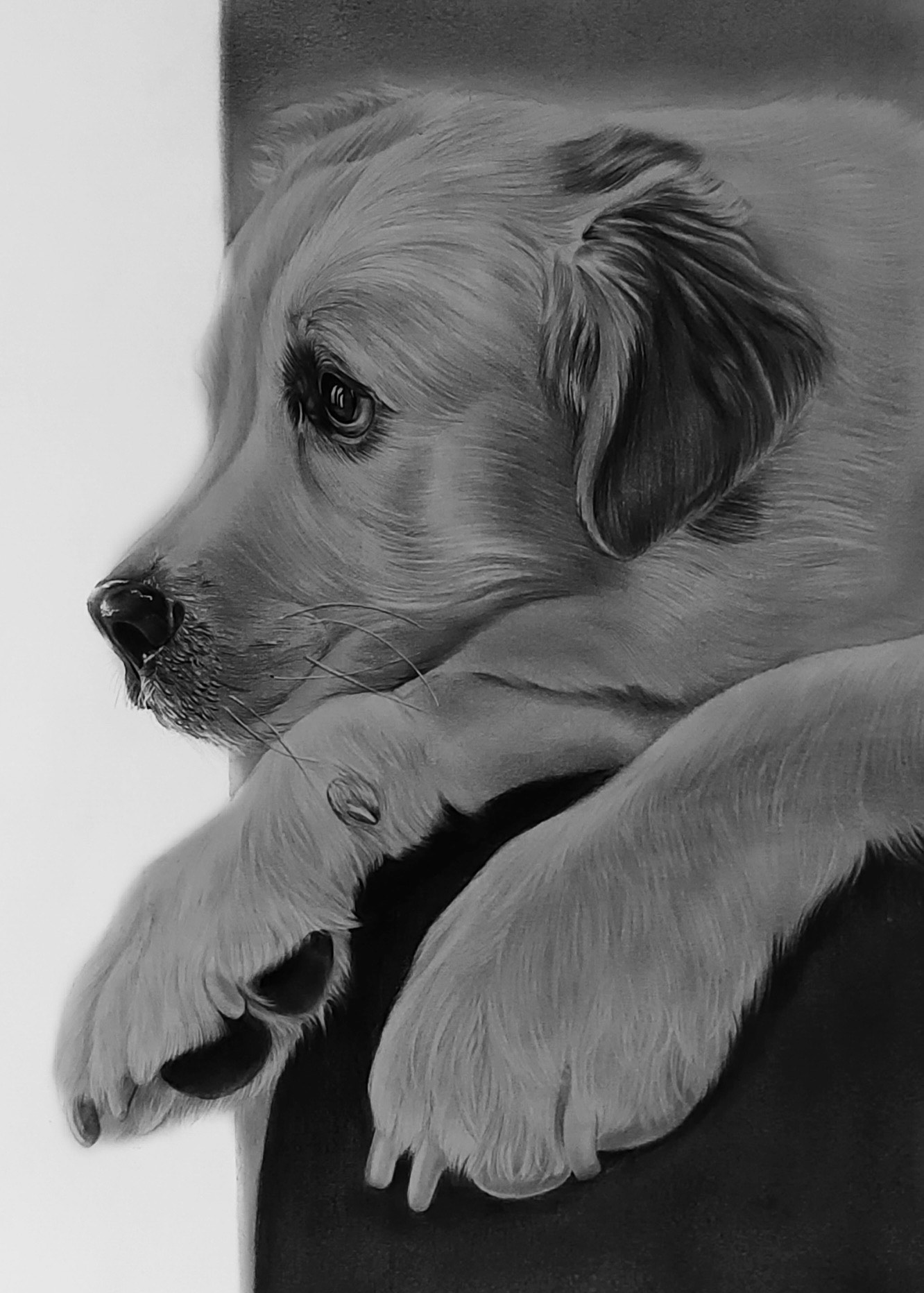 user avatar image for Chaseydog 