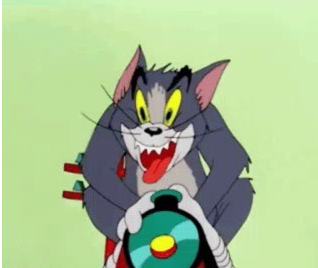 user avatar image for Matheus