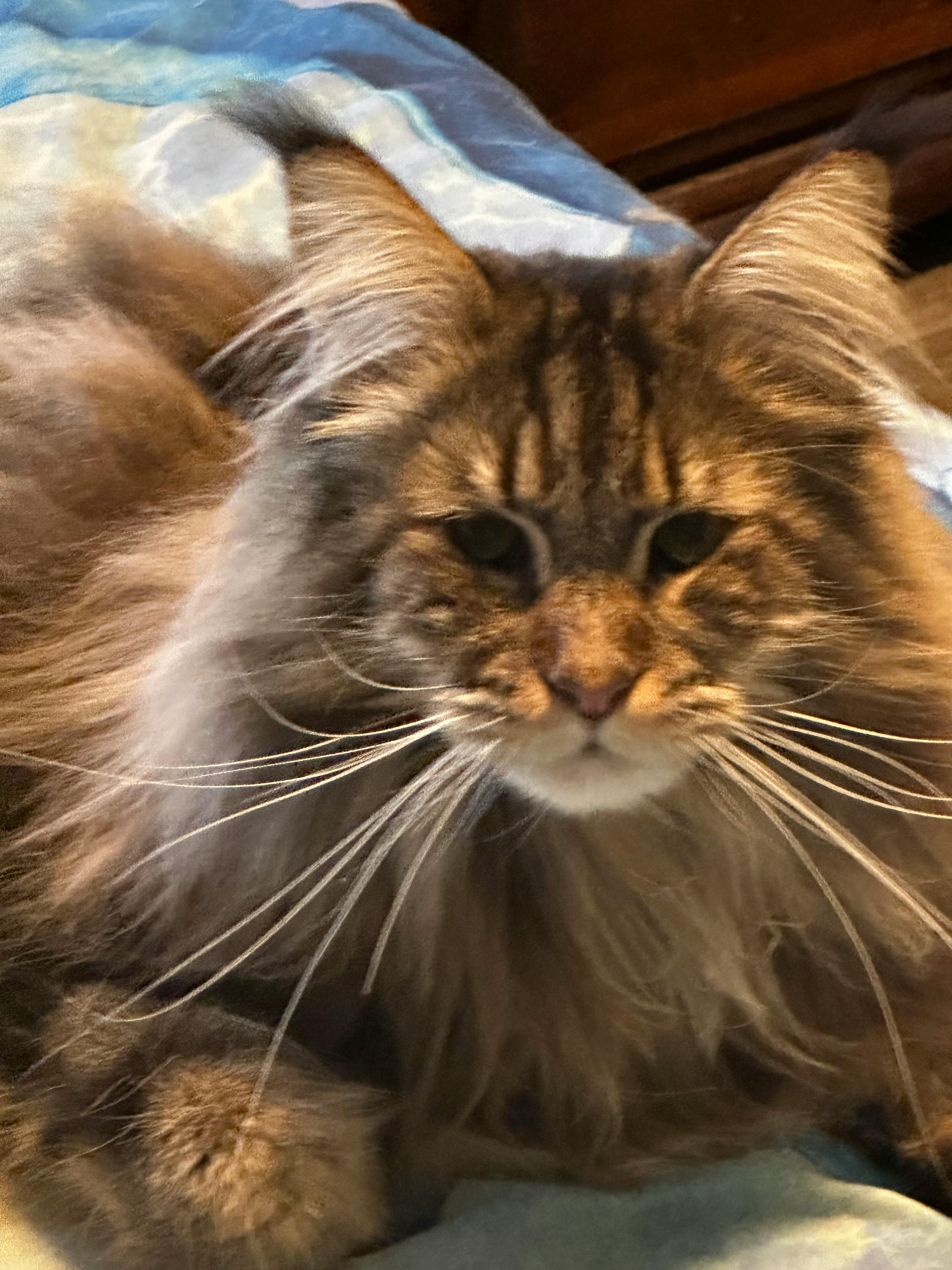 user avatar image for Nancy J MacBride