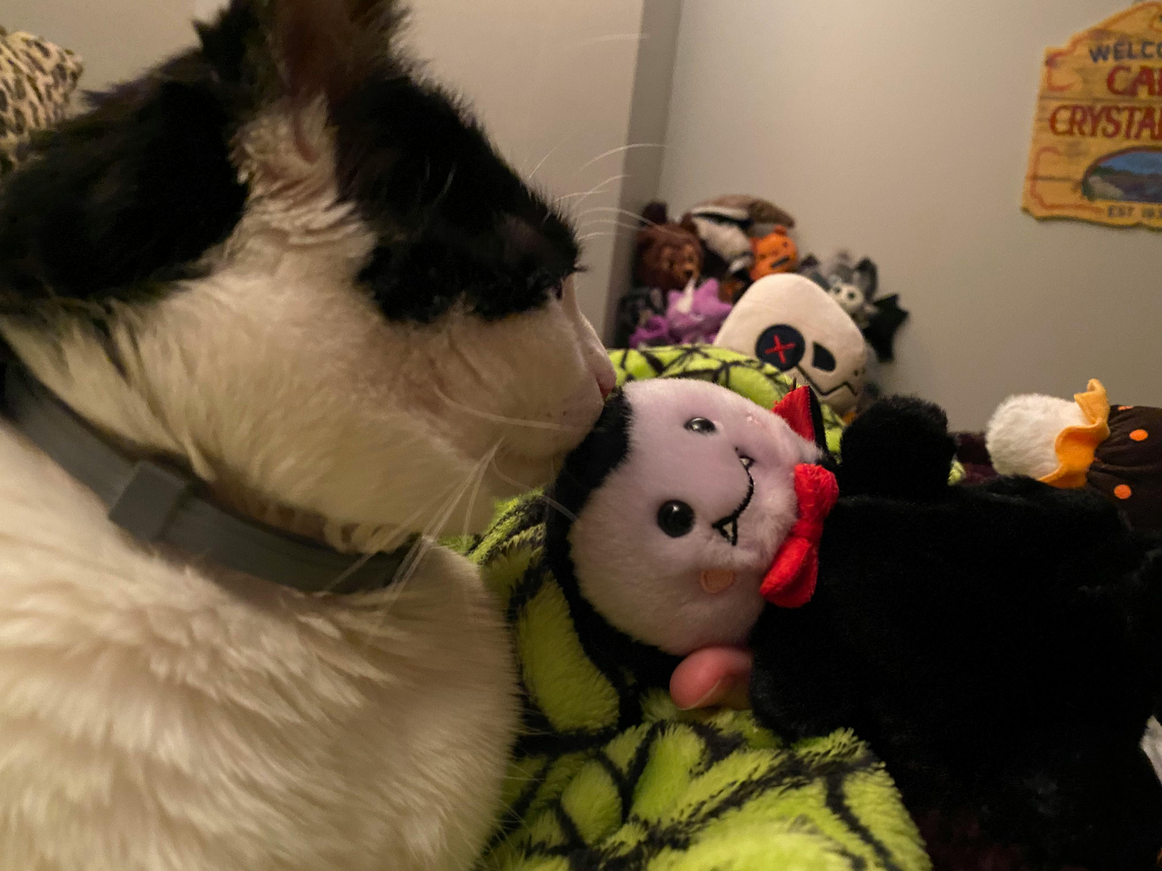 user avatar image for Pansy