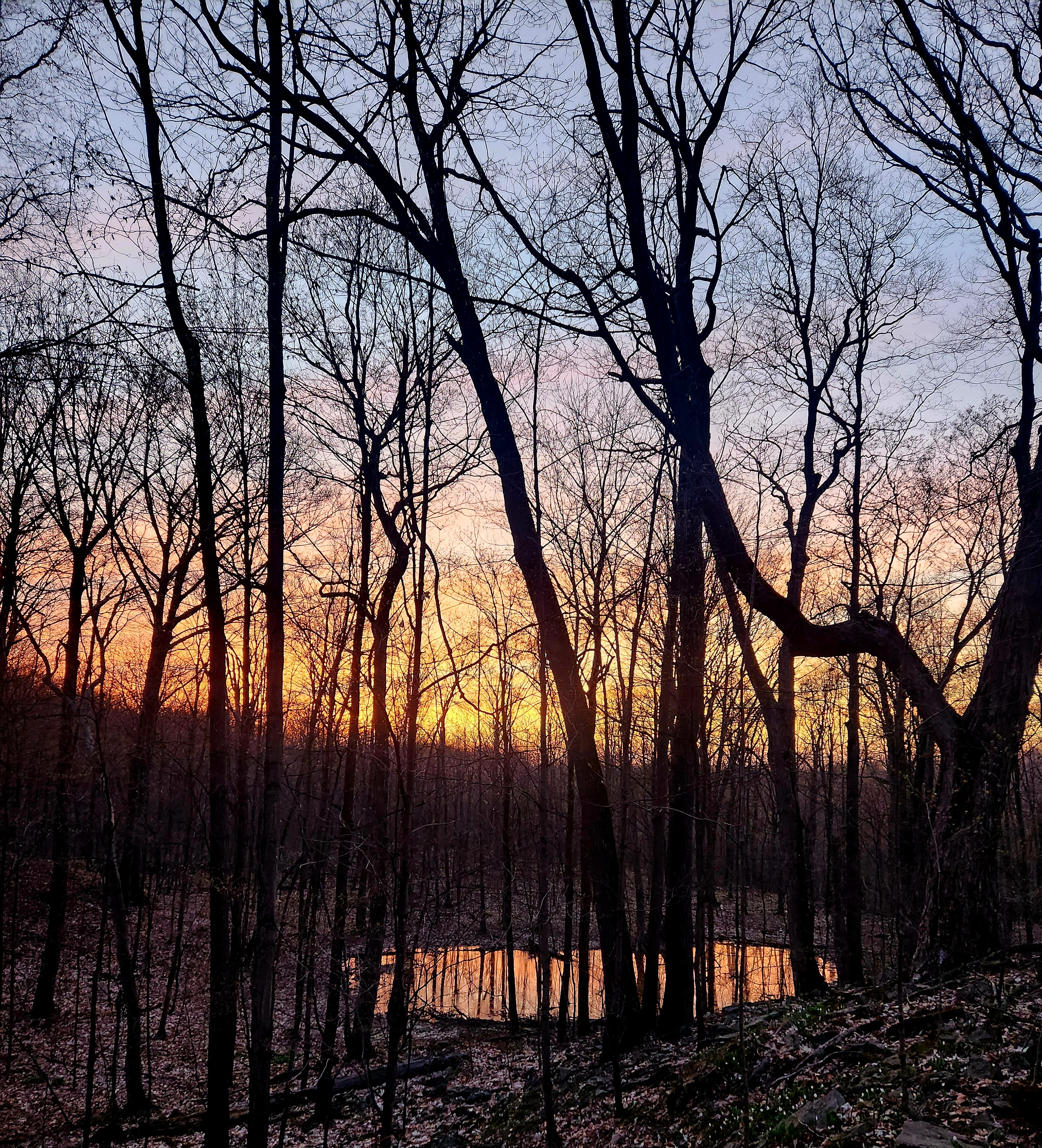 user avatar image for Samhain