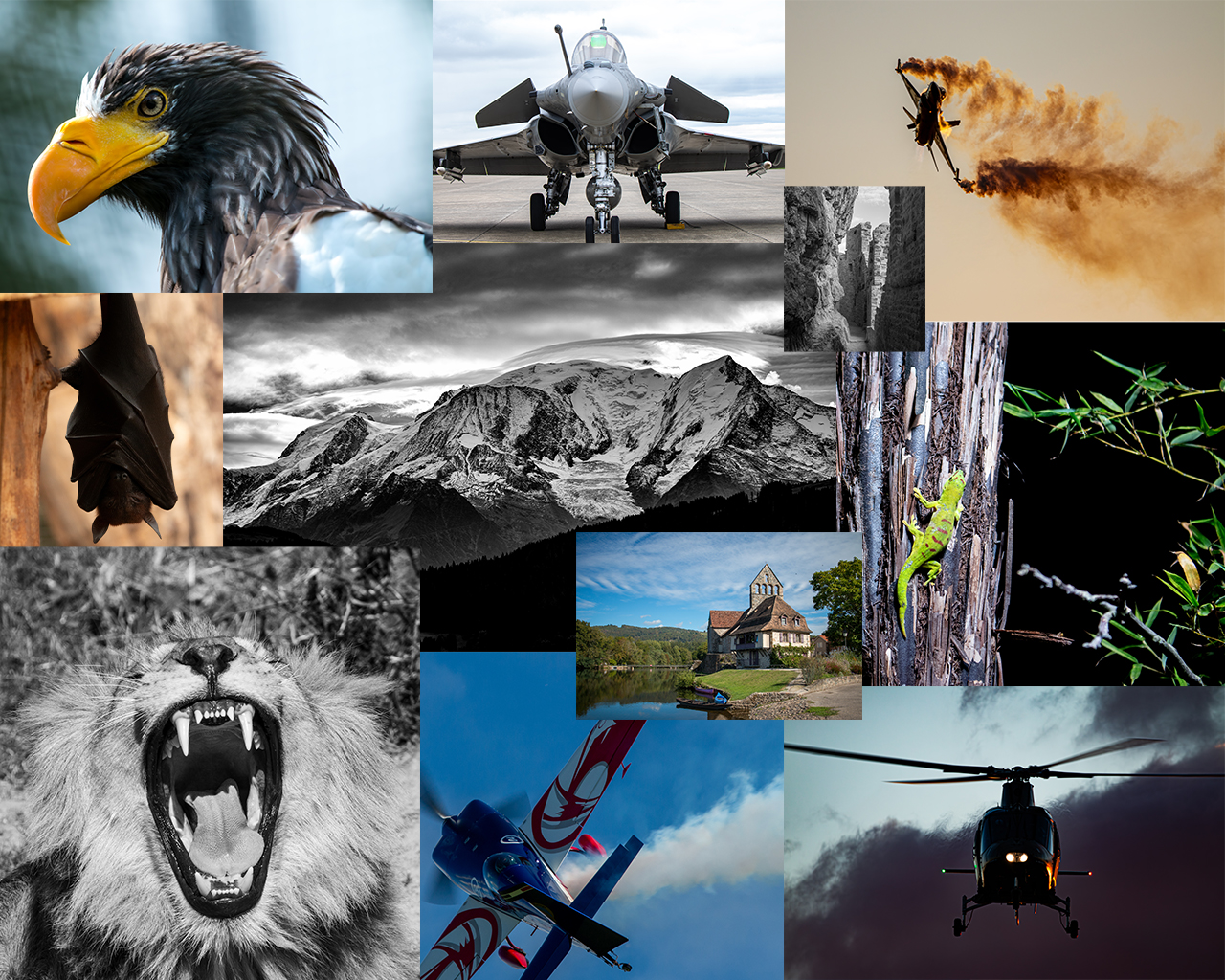 user avatar image for NL Photographie