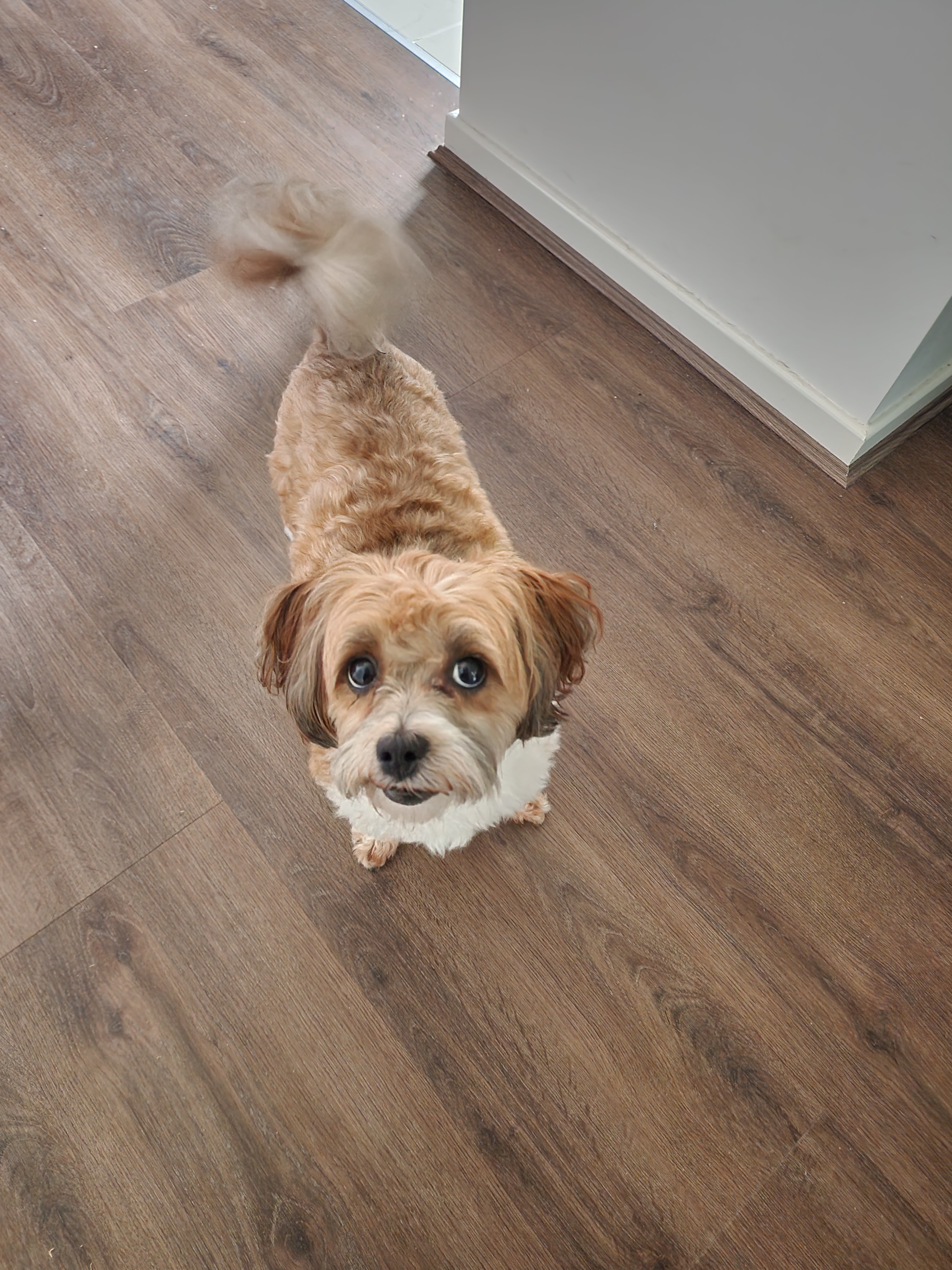 user avatar image for Andrew