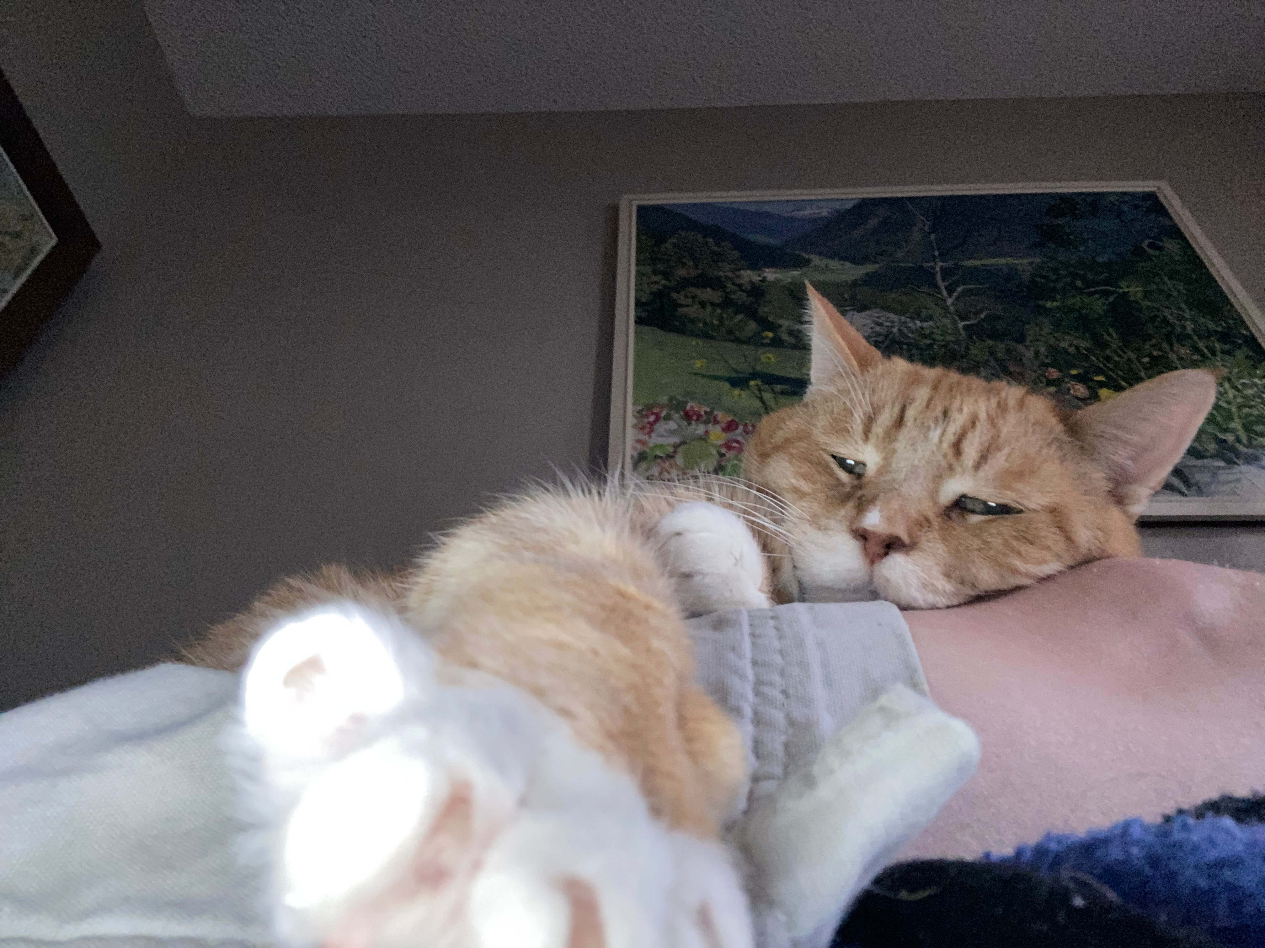 user avatar image for Loren