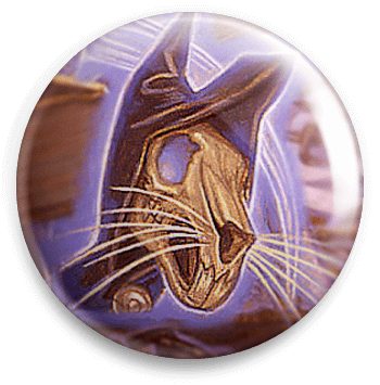 user avatar image for Benjamin Lindsey