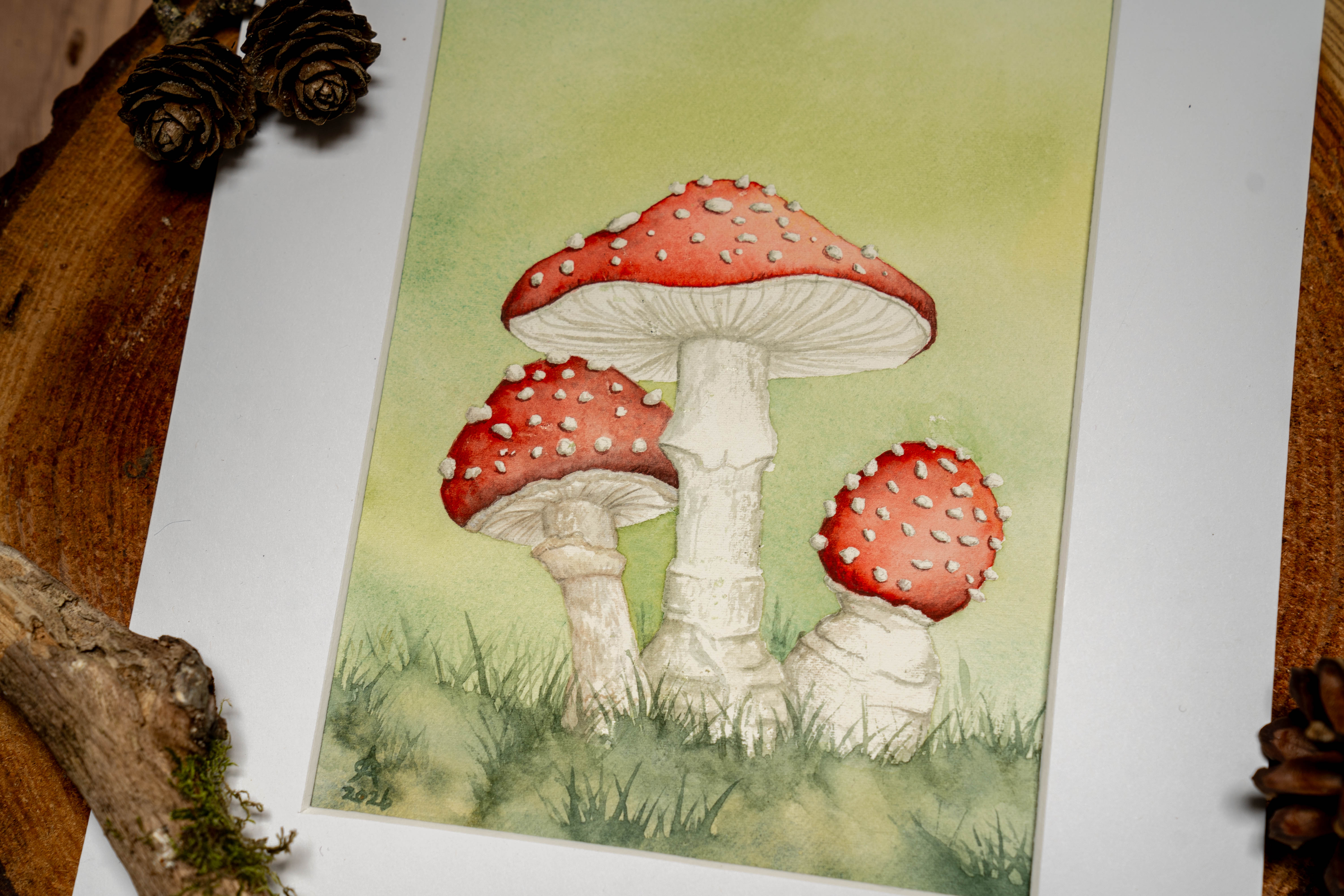 Original Artwork: Fly Agaric