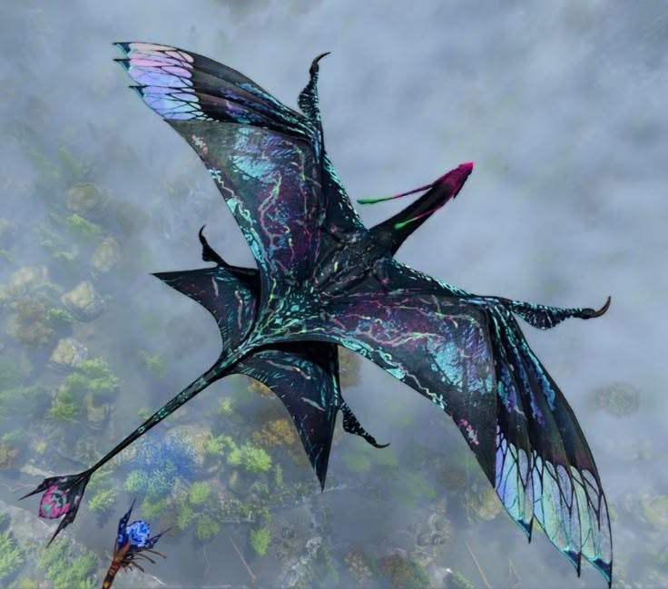 user avatar image for Coco