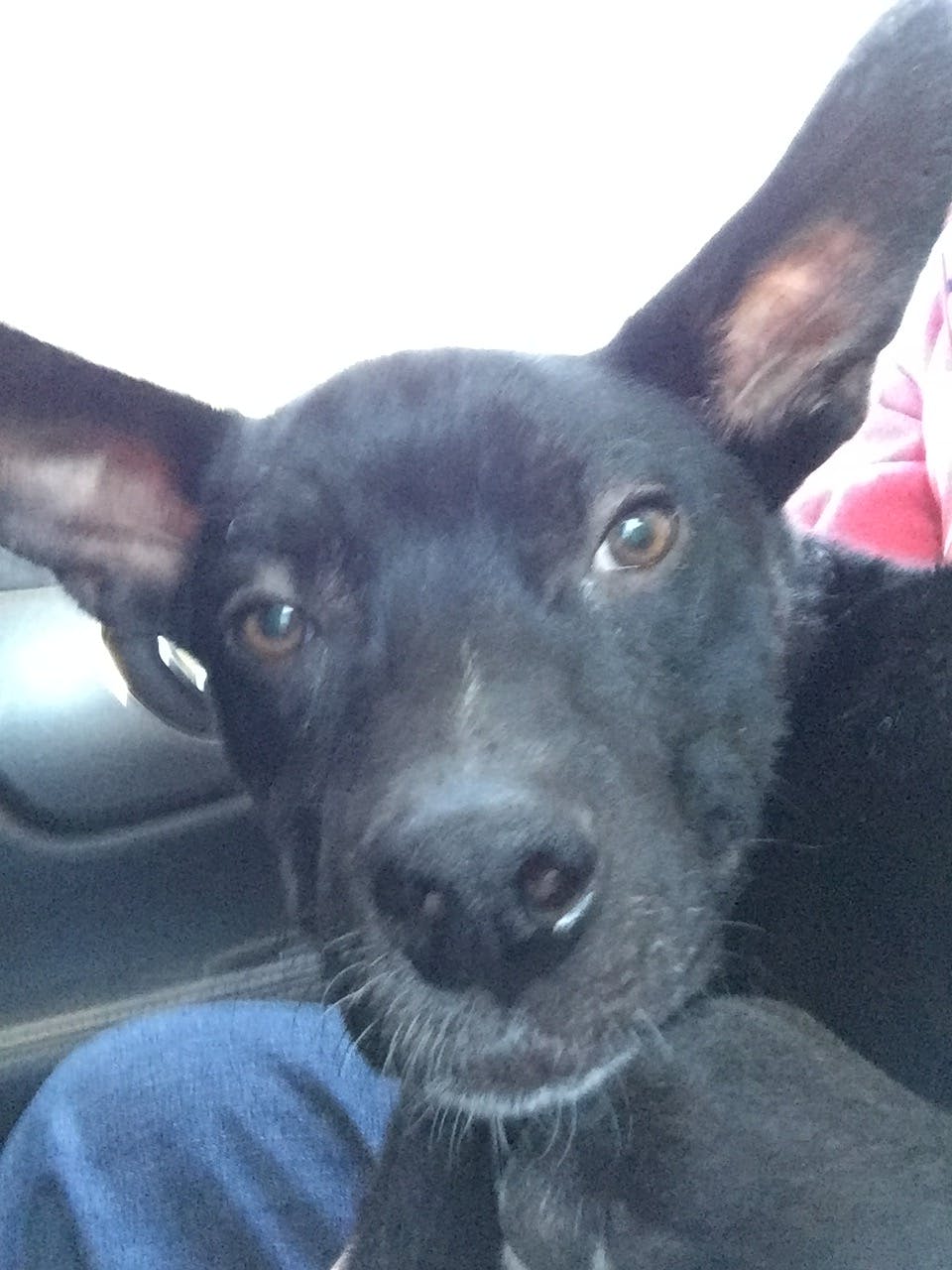 user avatar image for Sawyer Berry