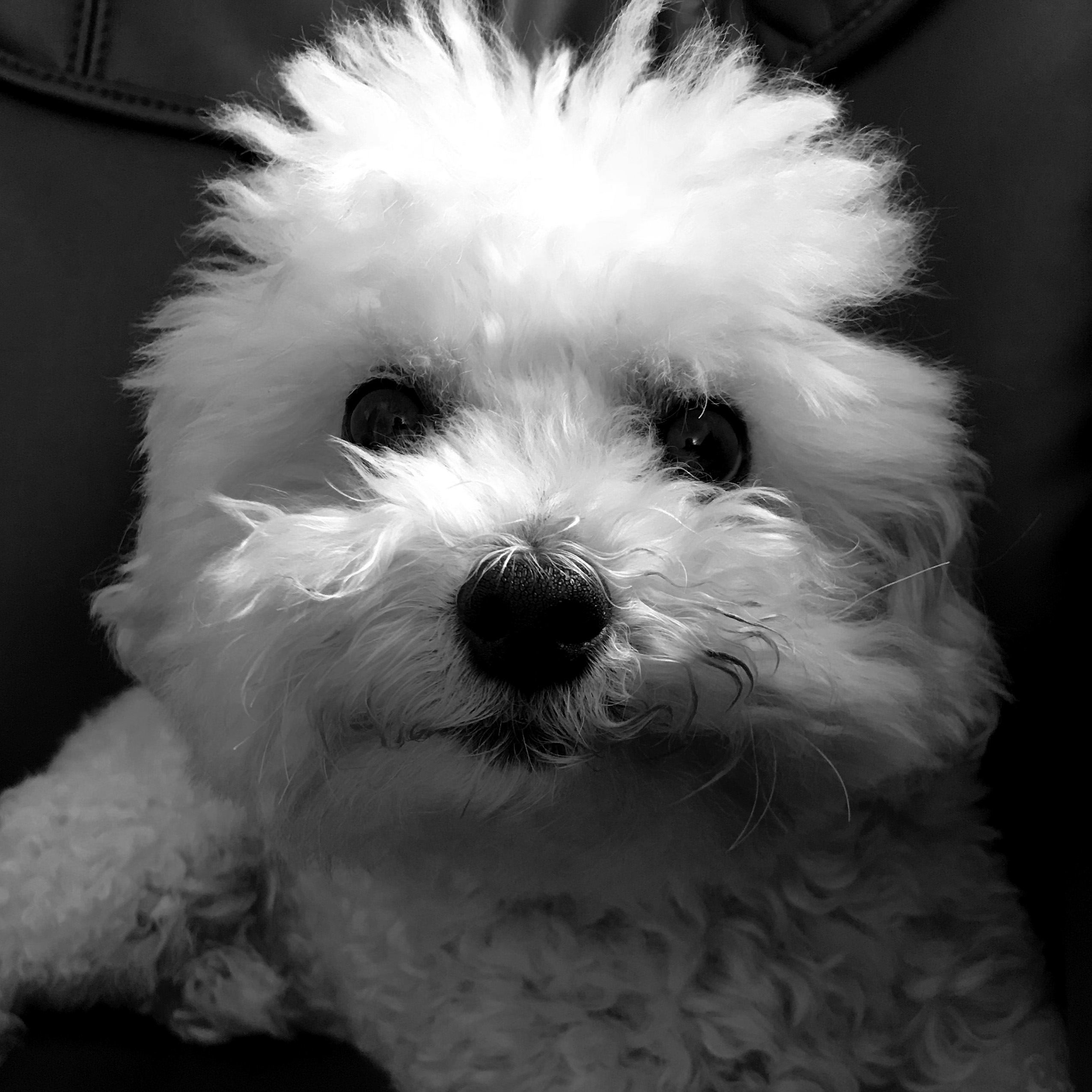 user avatar image for mwishnack