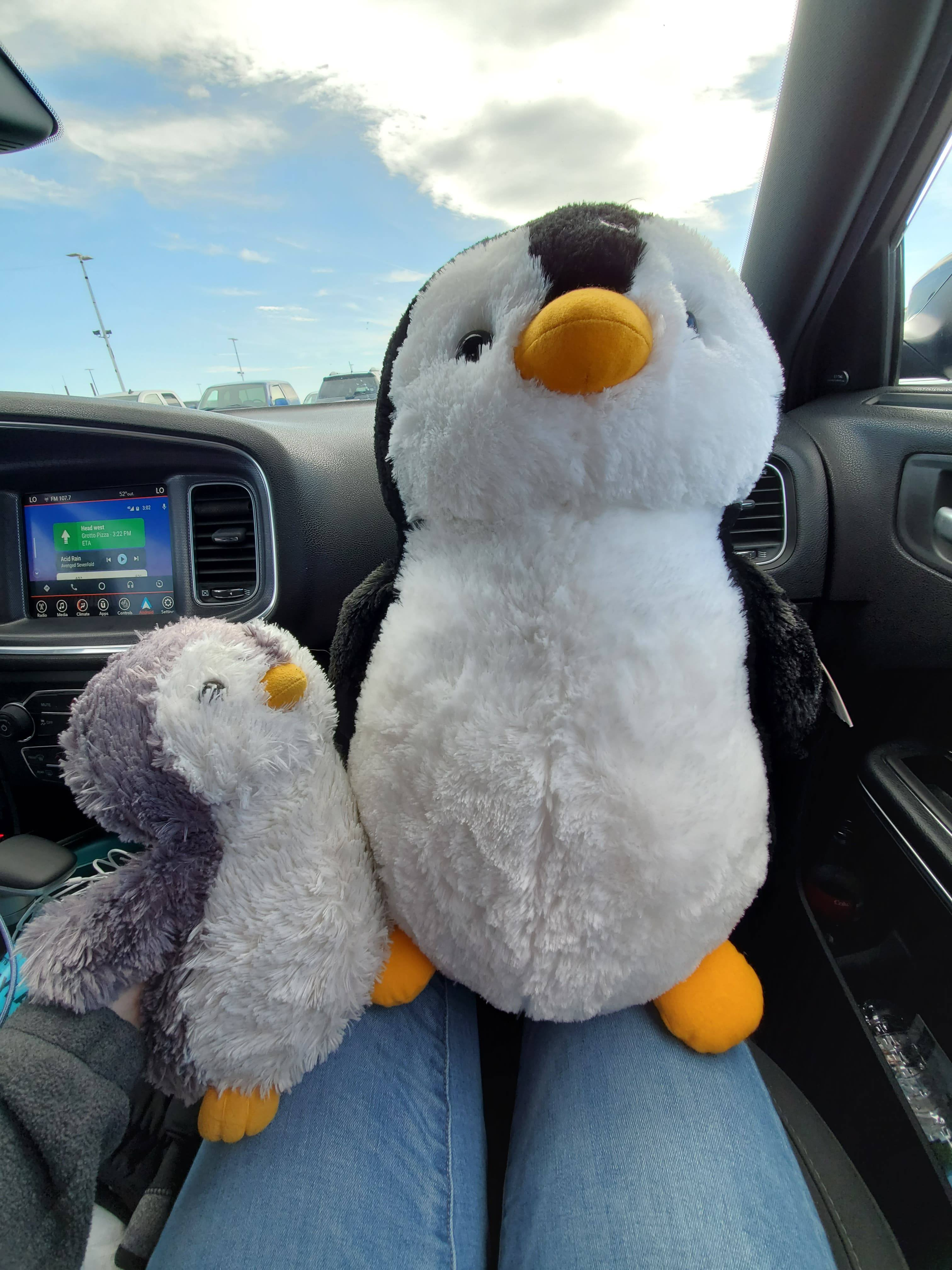 user avatar image for Fluffin Puffin