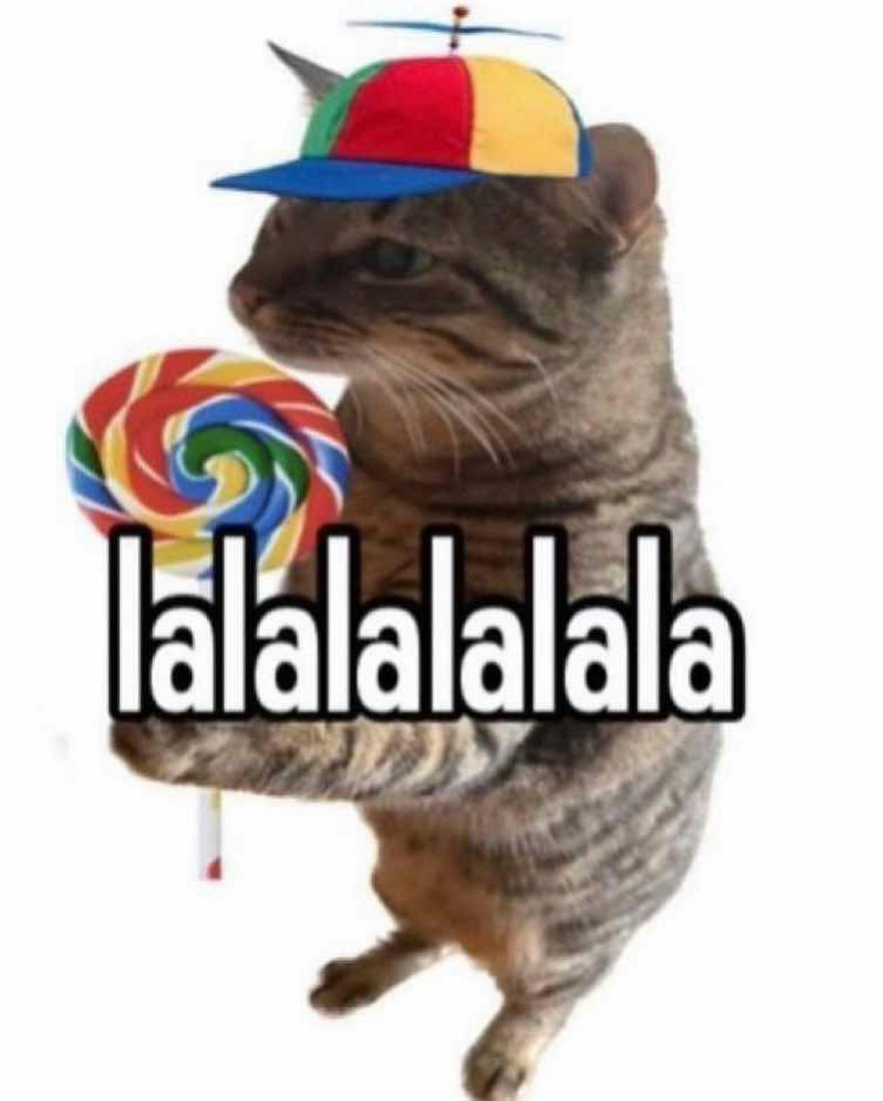 user avatar image for Blueberries.jpeg