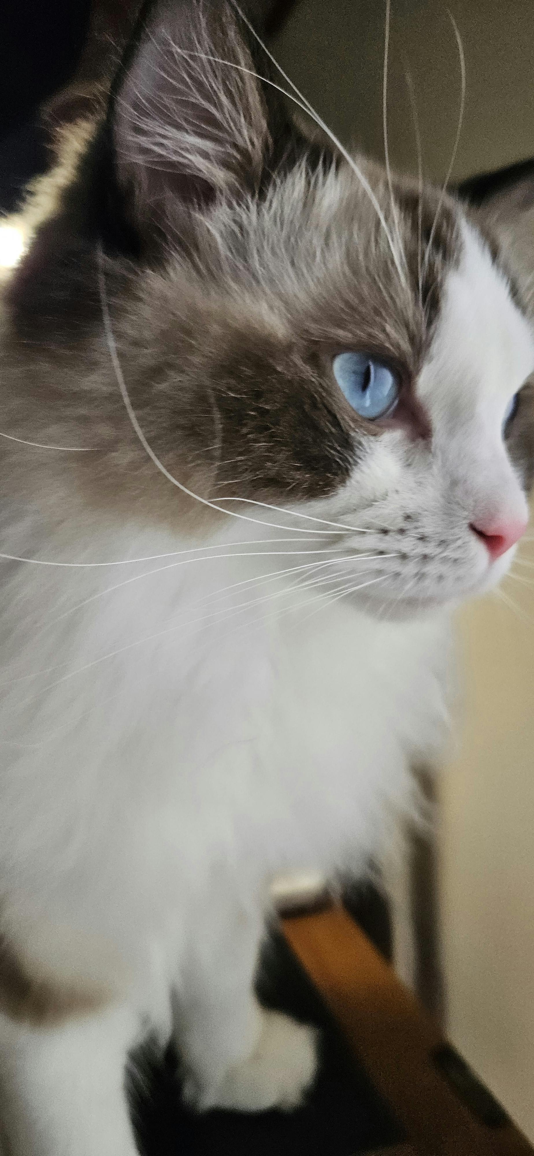 user avatar image for Tash Priestley 