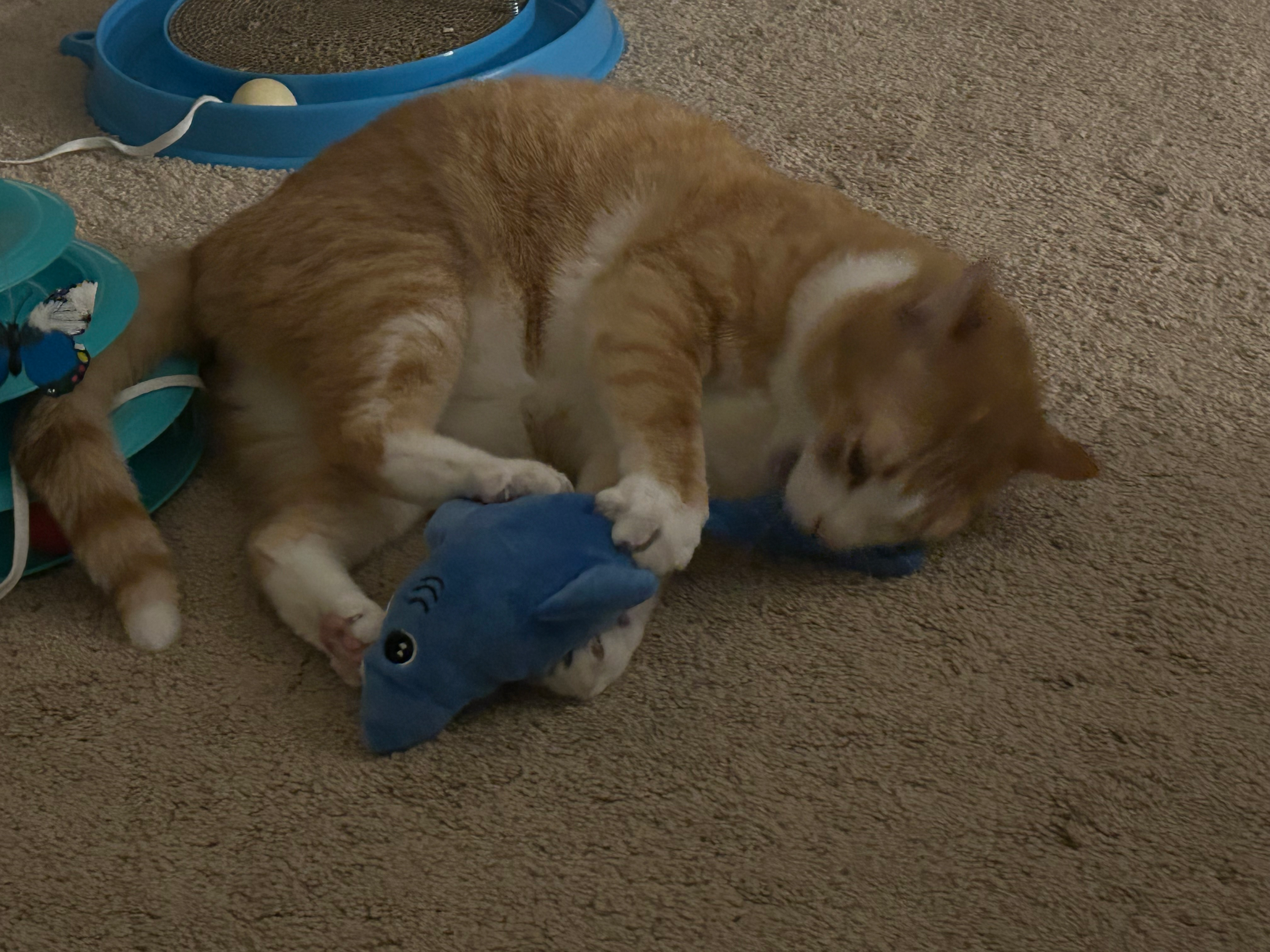 user avatar image for Sky