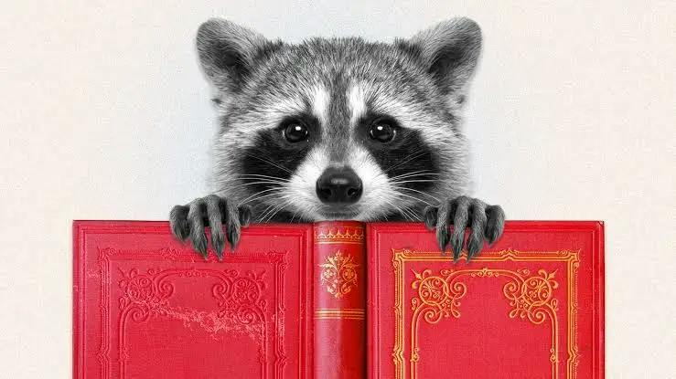 user avatar image for RoryRaccoon