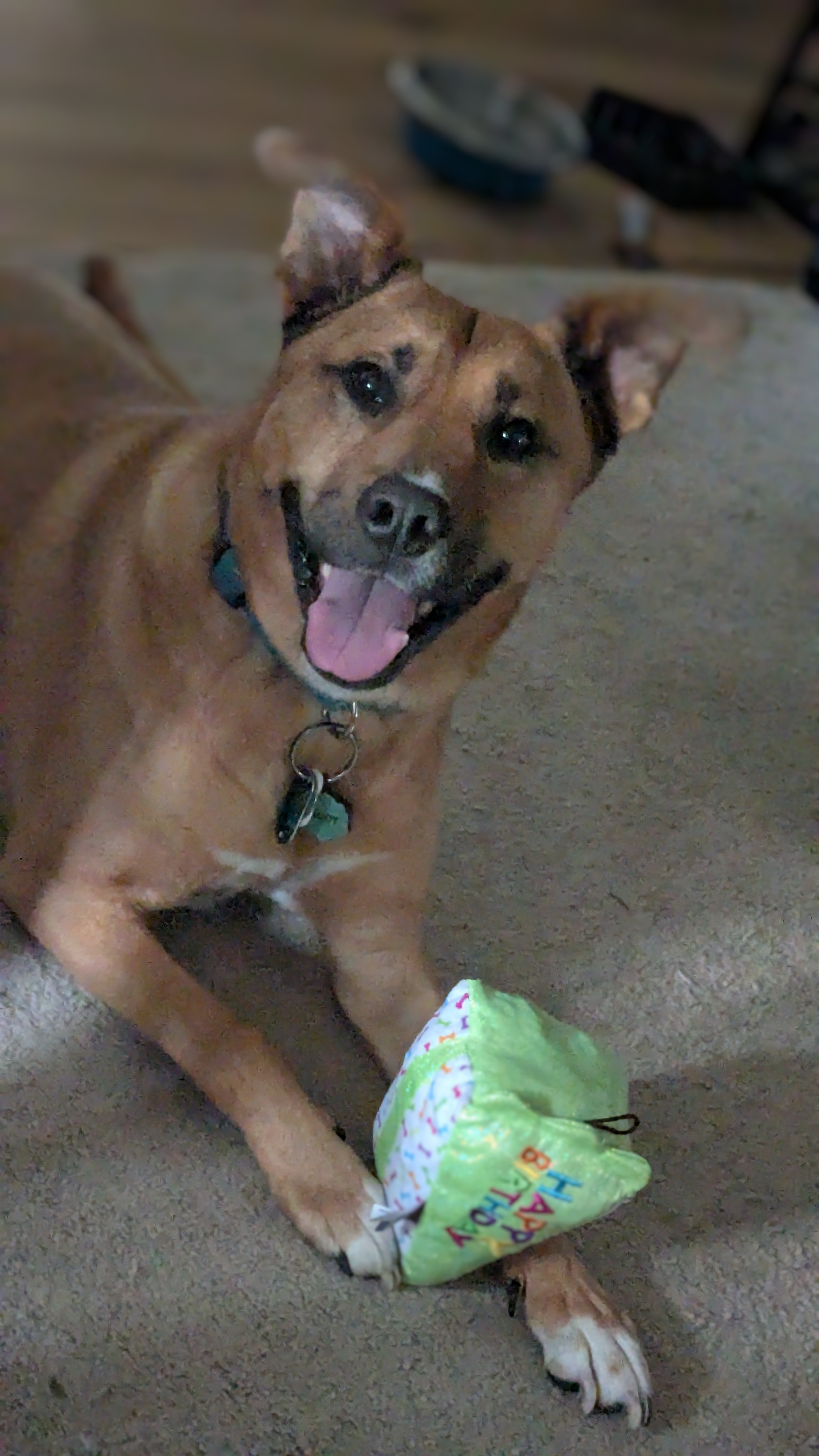 user avatar image for Ross Higa