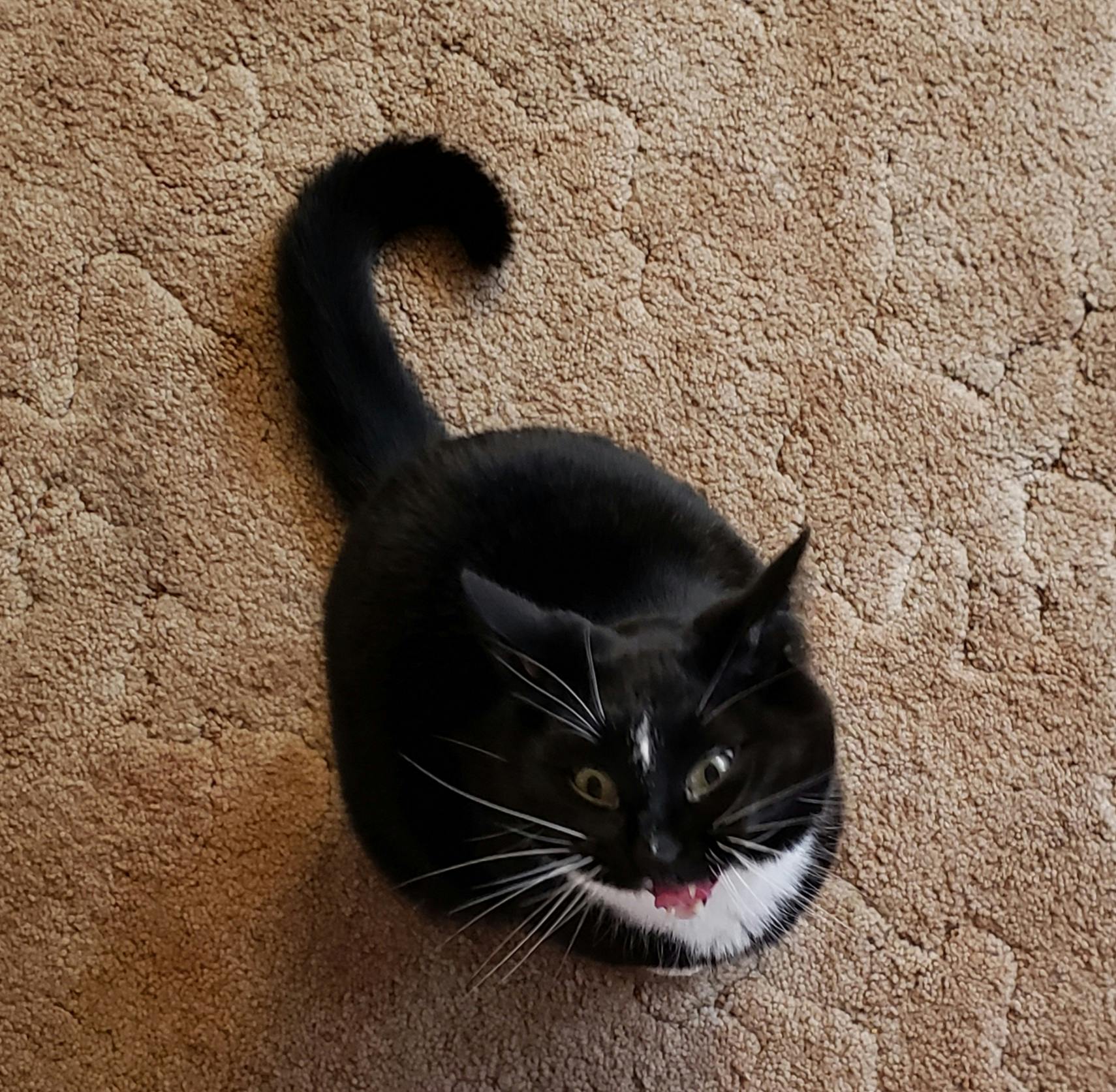 user avatar image for Lelah