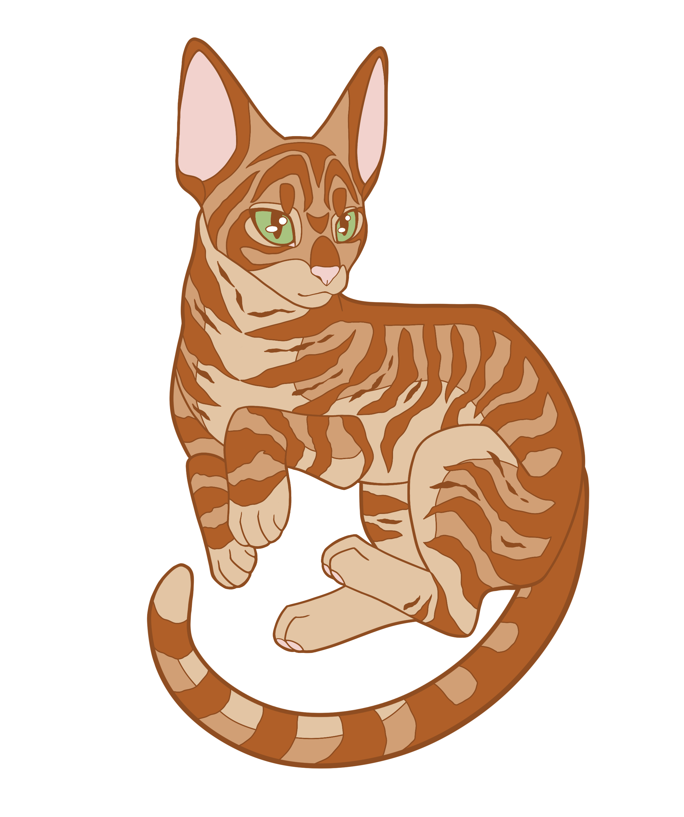 Orange Tabby OSH Pin	