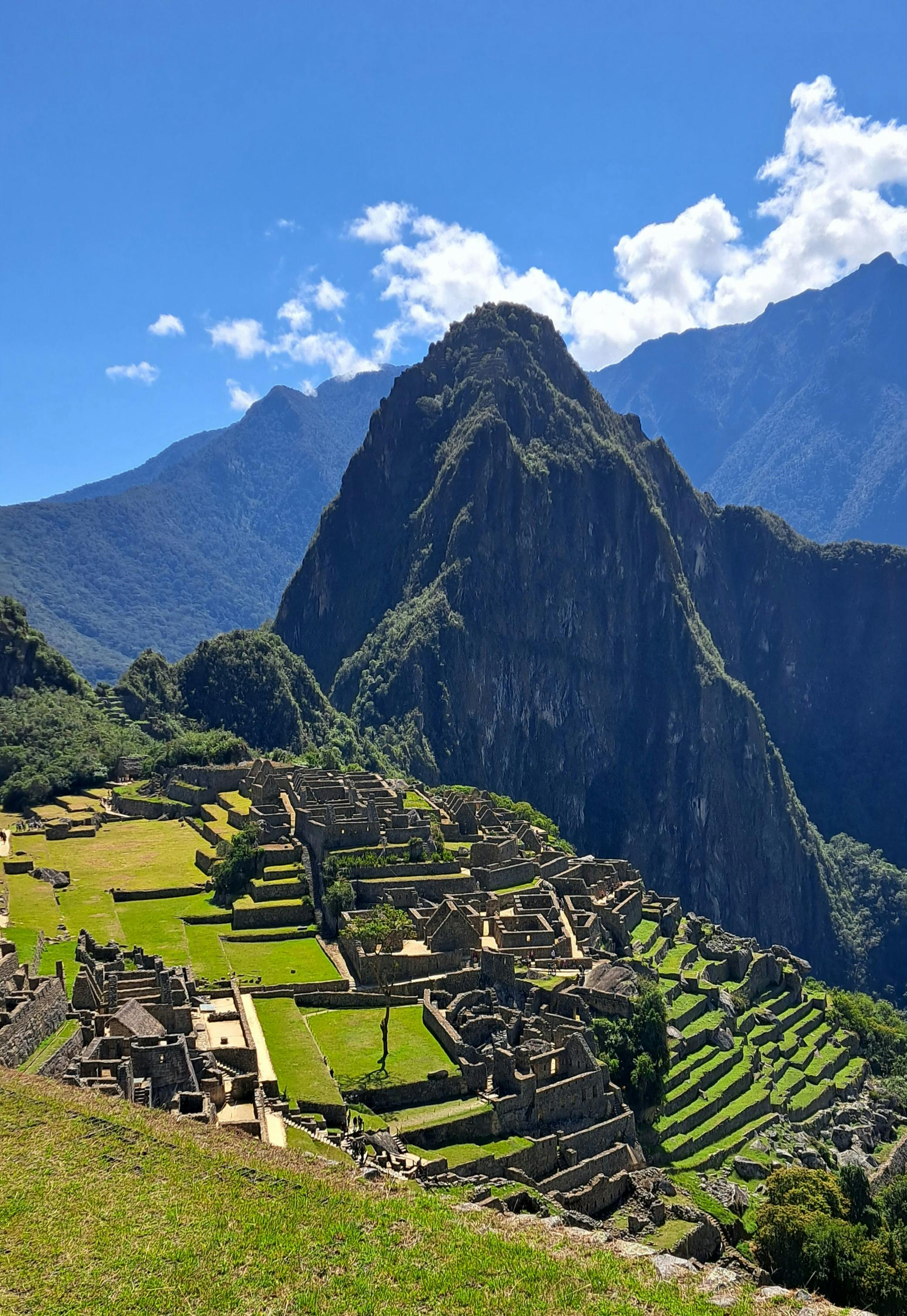 user avatar image for Cheri Lance