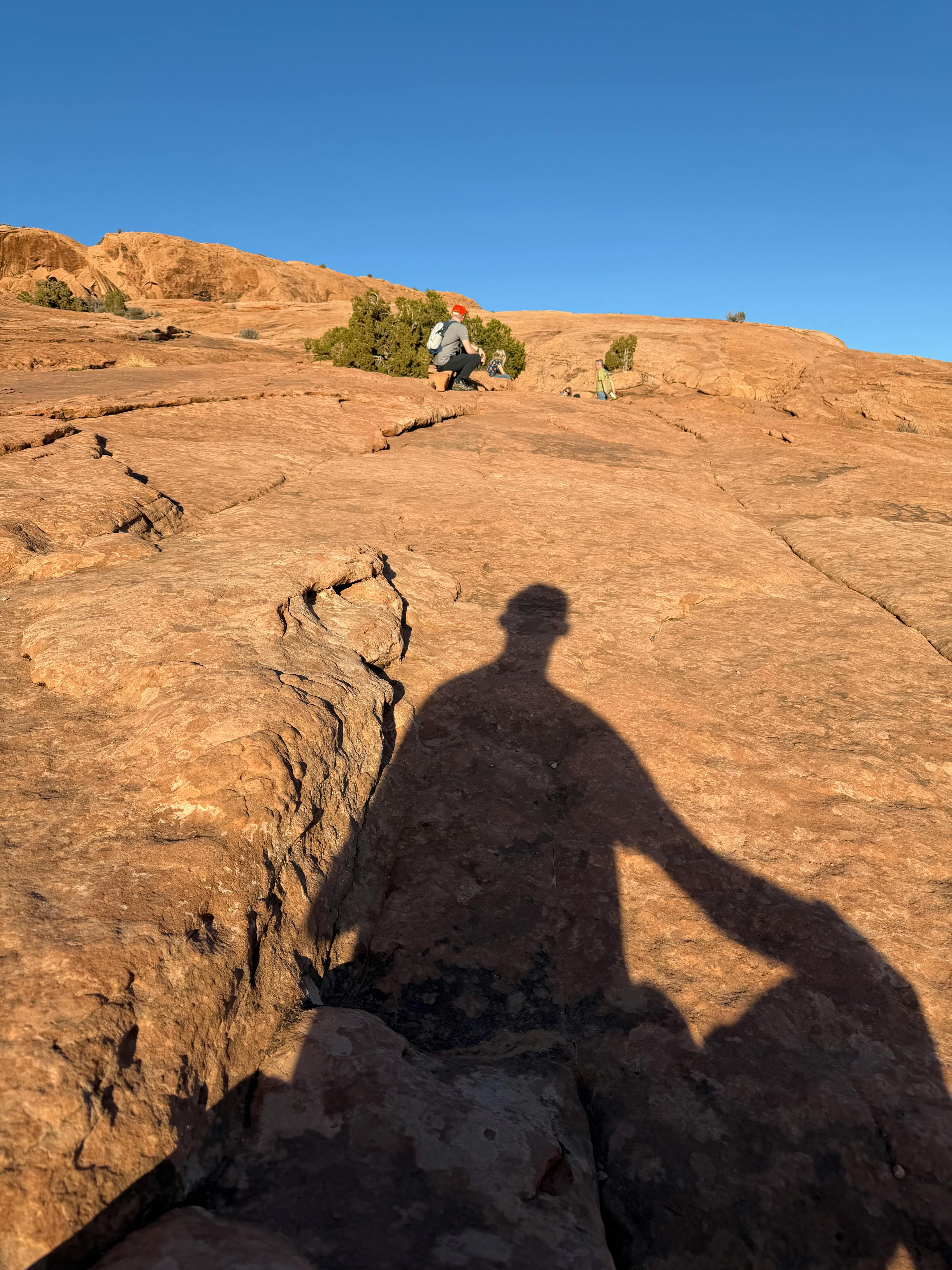 user avatar image for Joseph Hampton