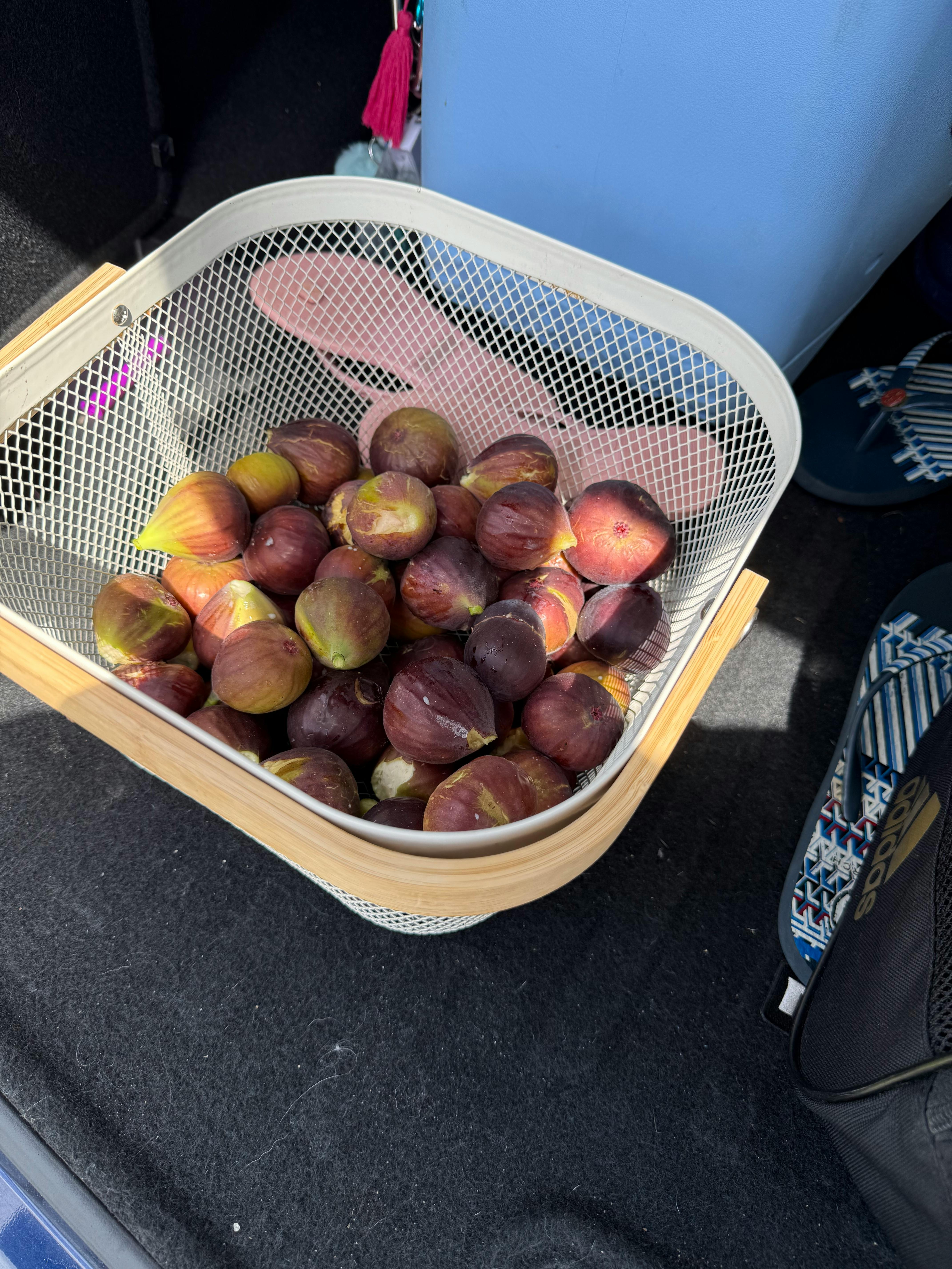 user avatar image for Sal 