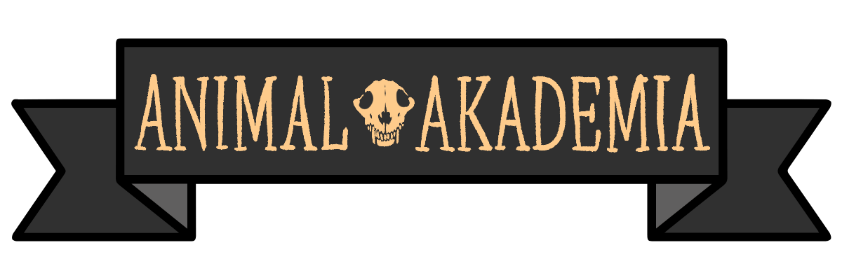 Animal Akademia Projects banner