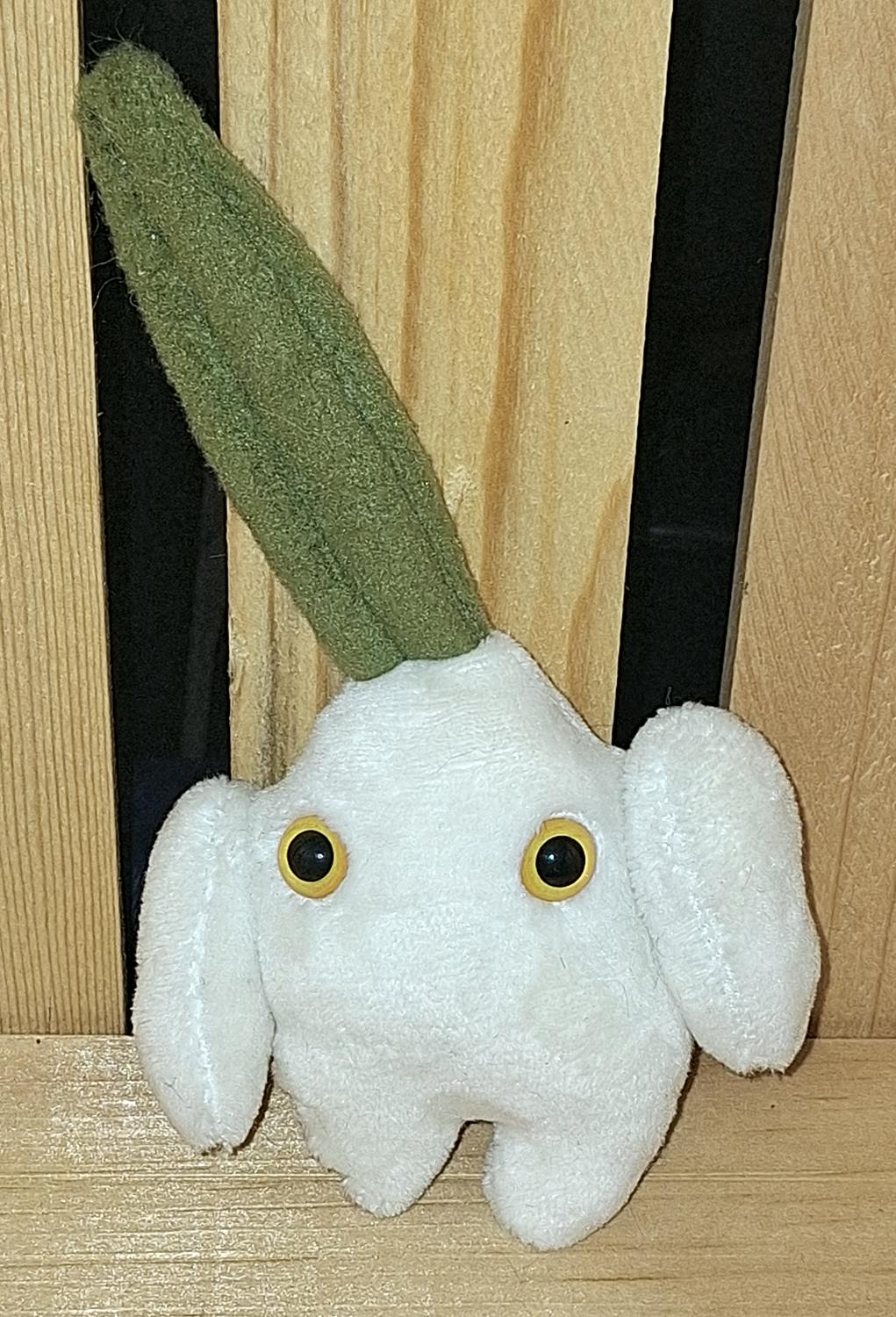 Onion Mandrake - Mini Size