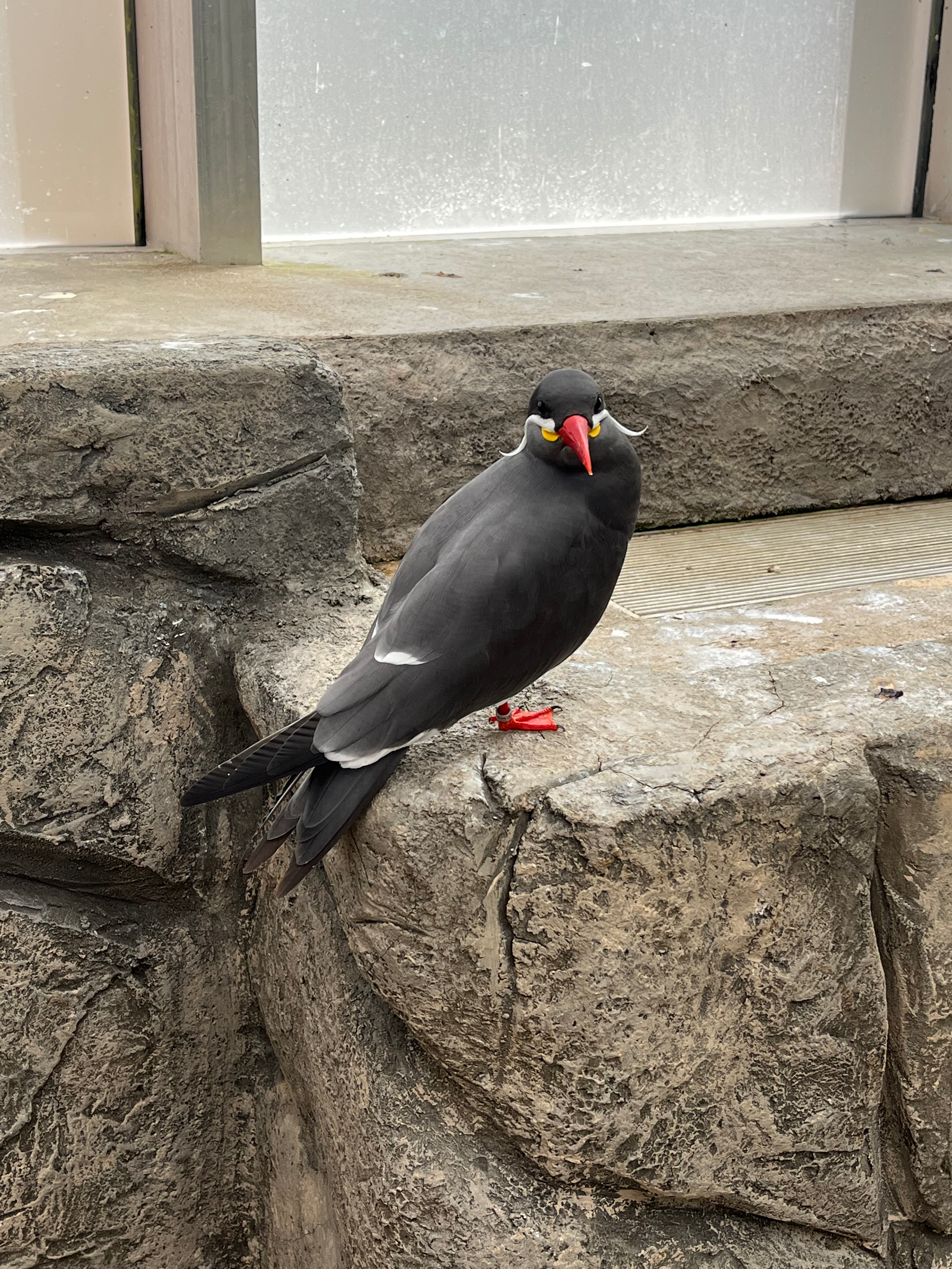 user avatar image for Julia