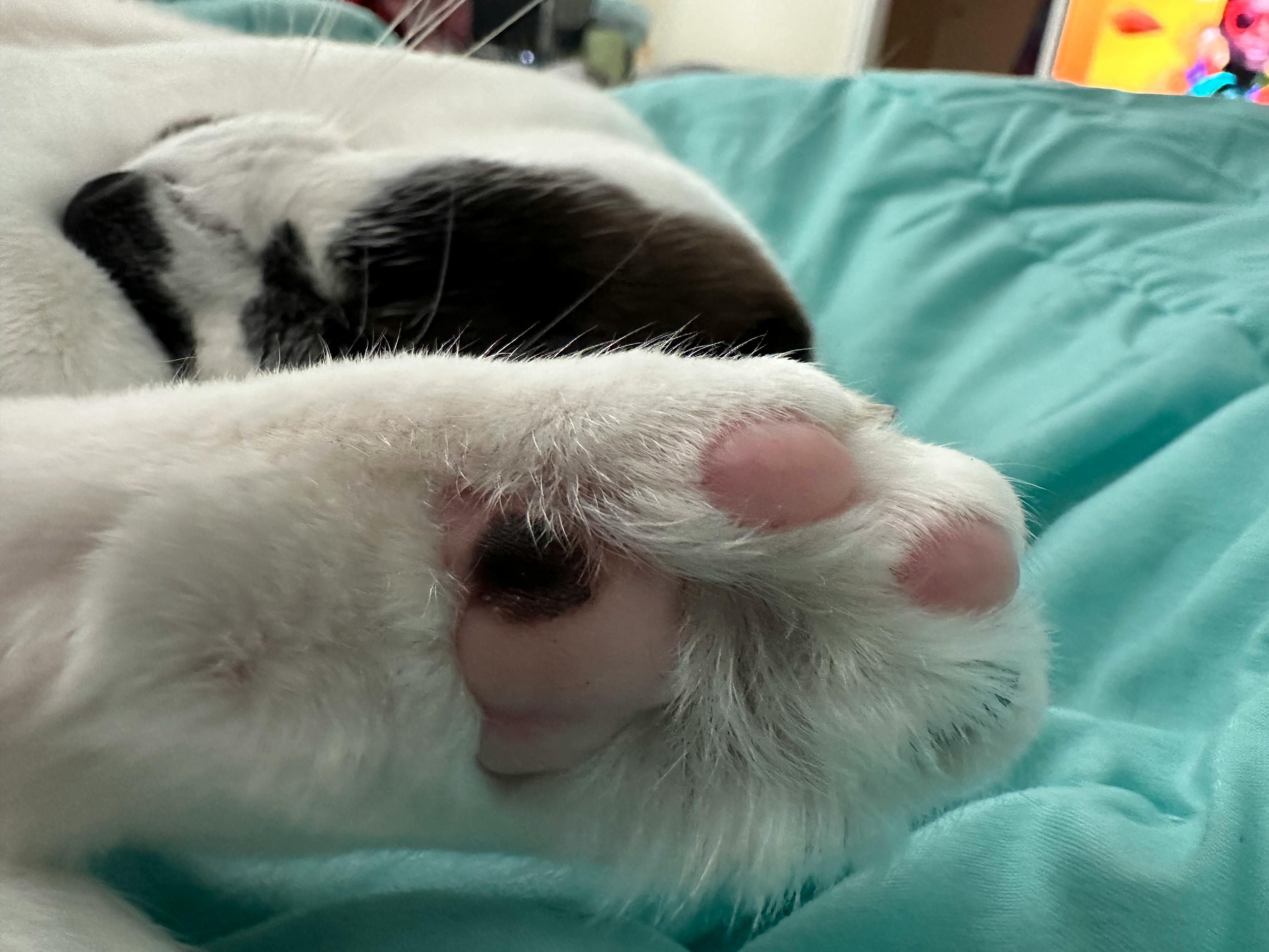 user avatar image for Maggie Ruby