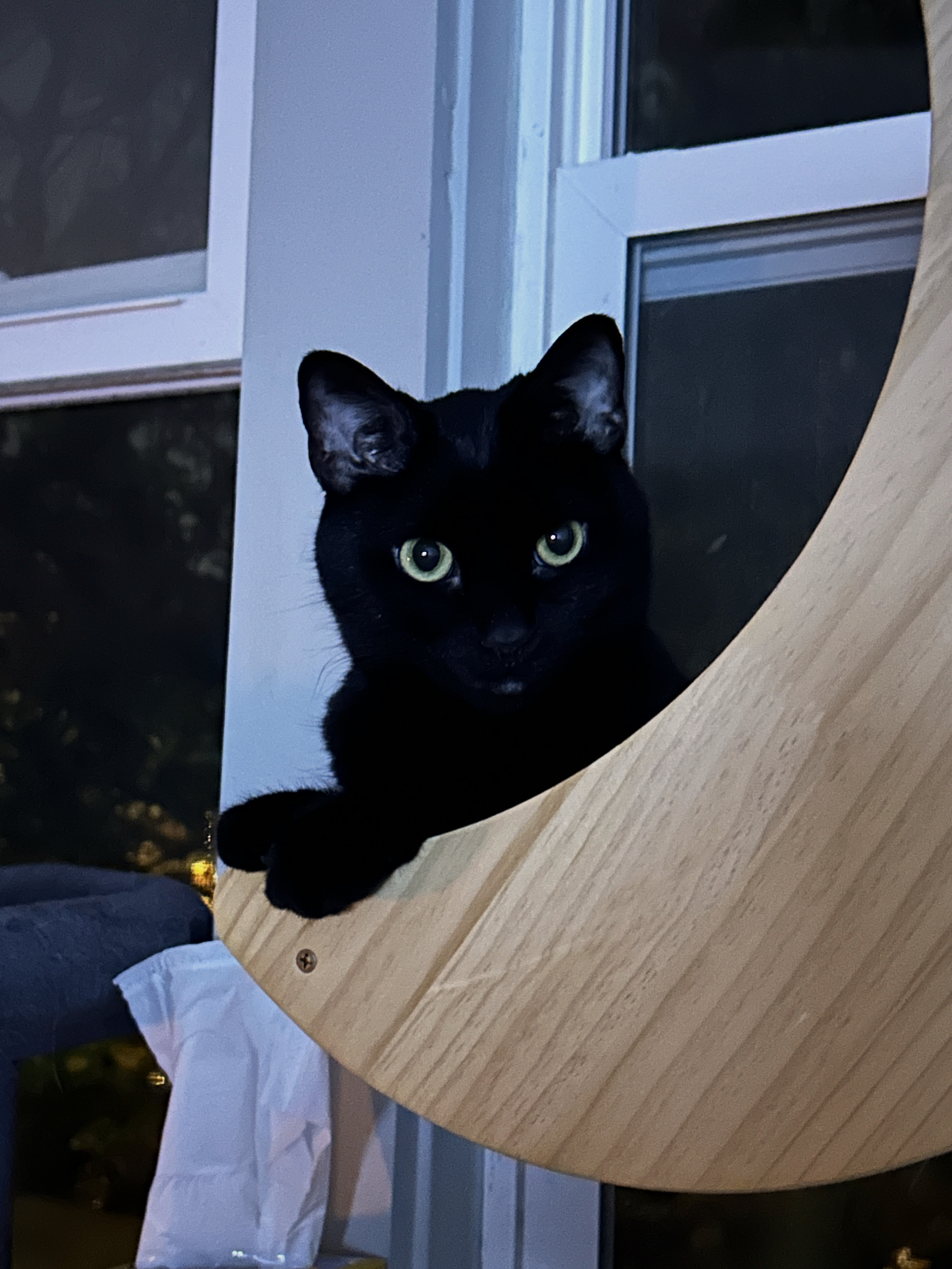 user avatar image for Skye