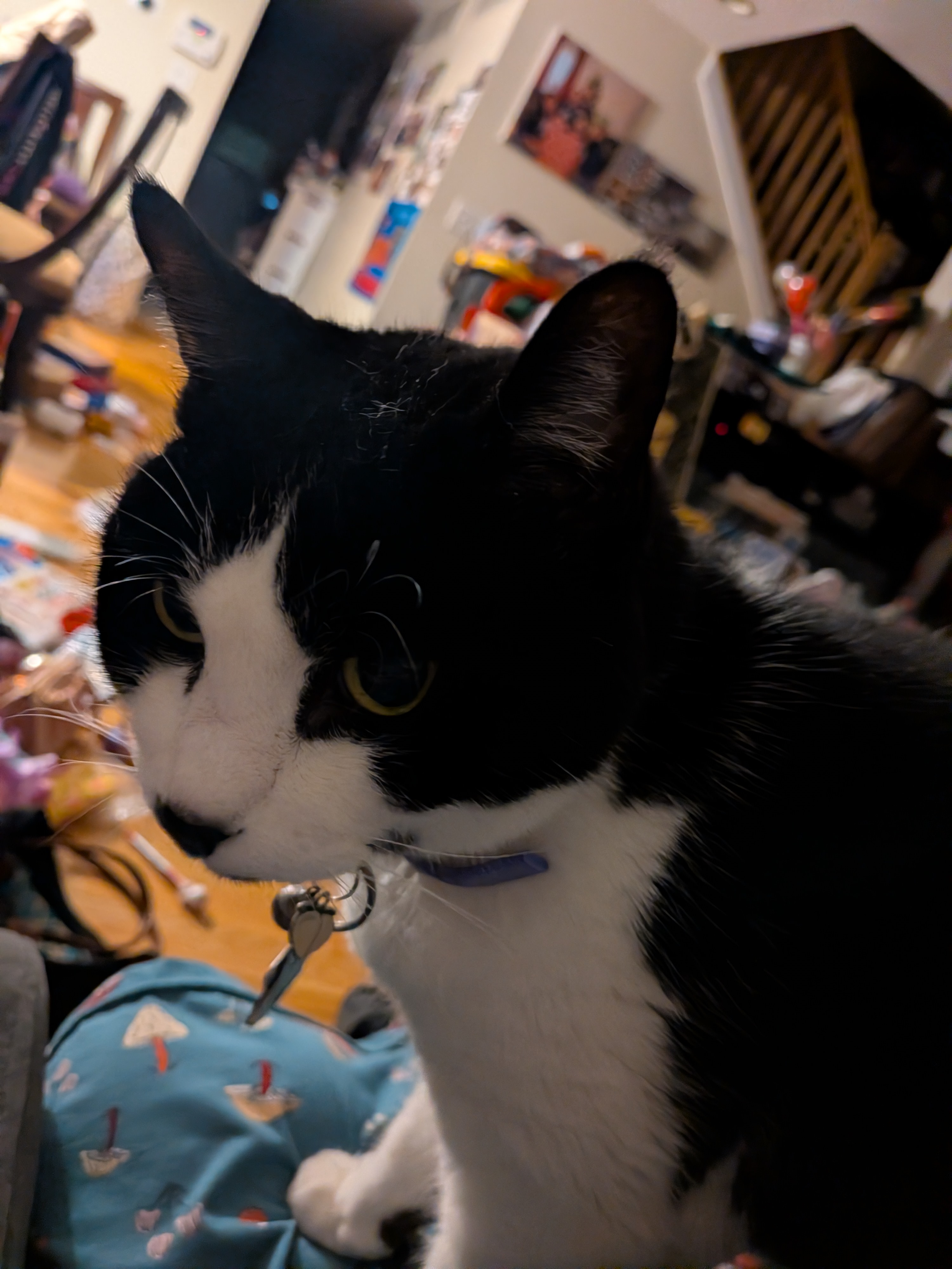 user avatar image for Jasmin